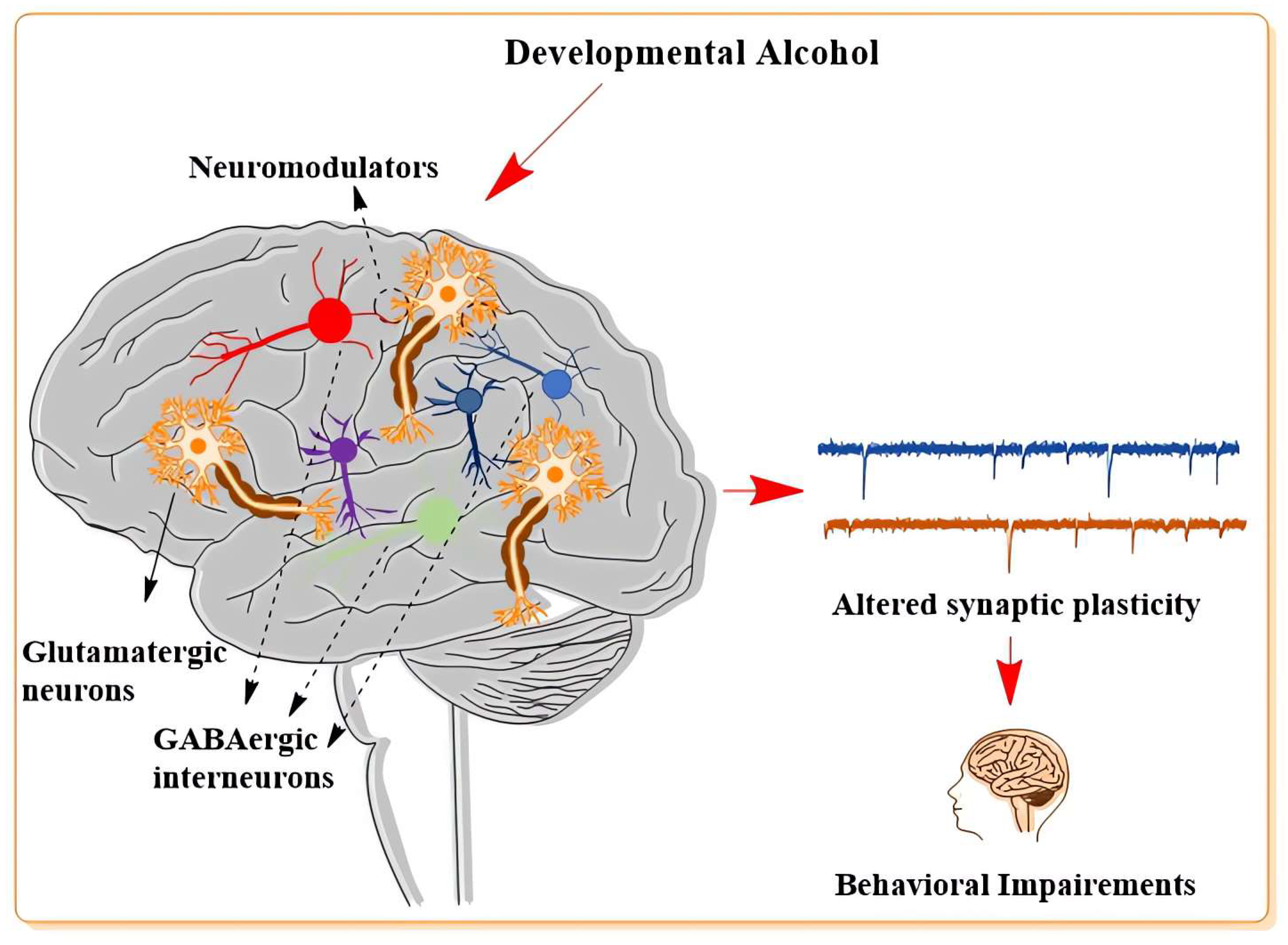 Cells 12 00442 g003 Cells 12 00442 g003