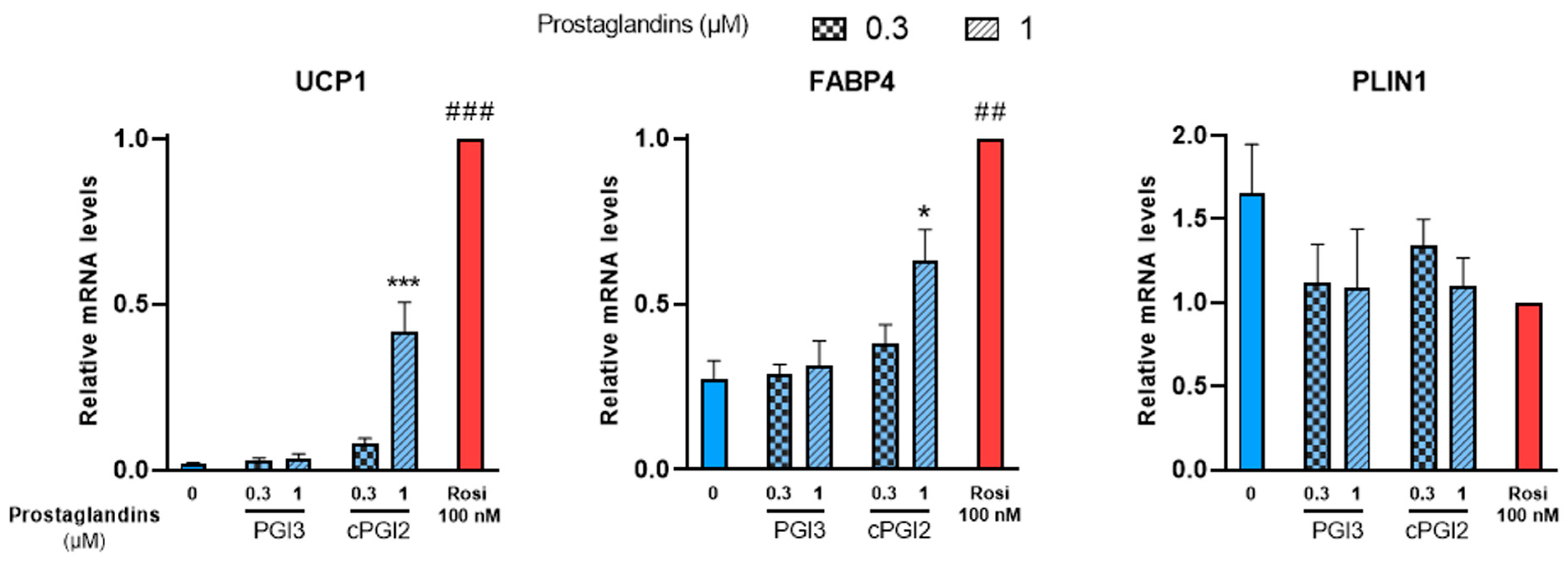 Cells 12 00446 g002 Cells 12 00446 g002