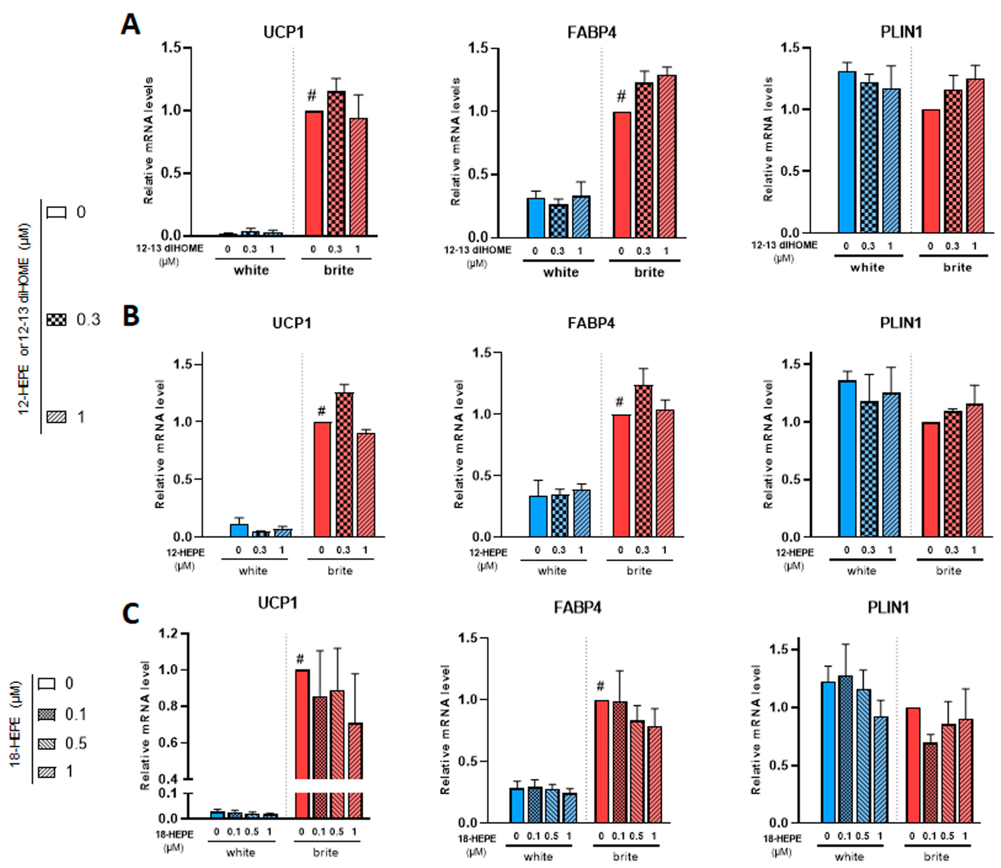 Cells 12 00446 g004 Cells 12 00446 g004