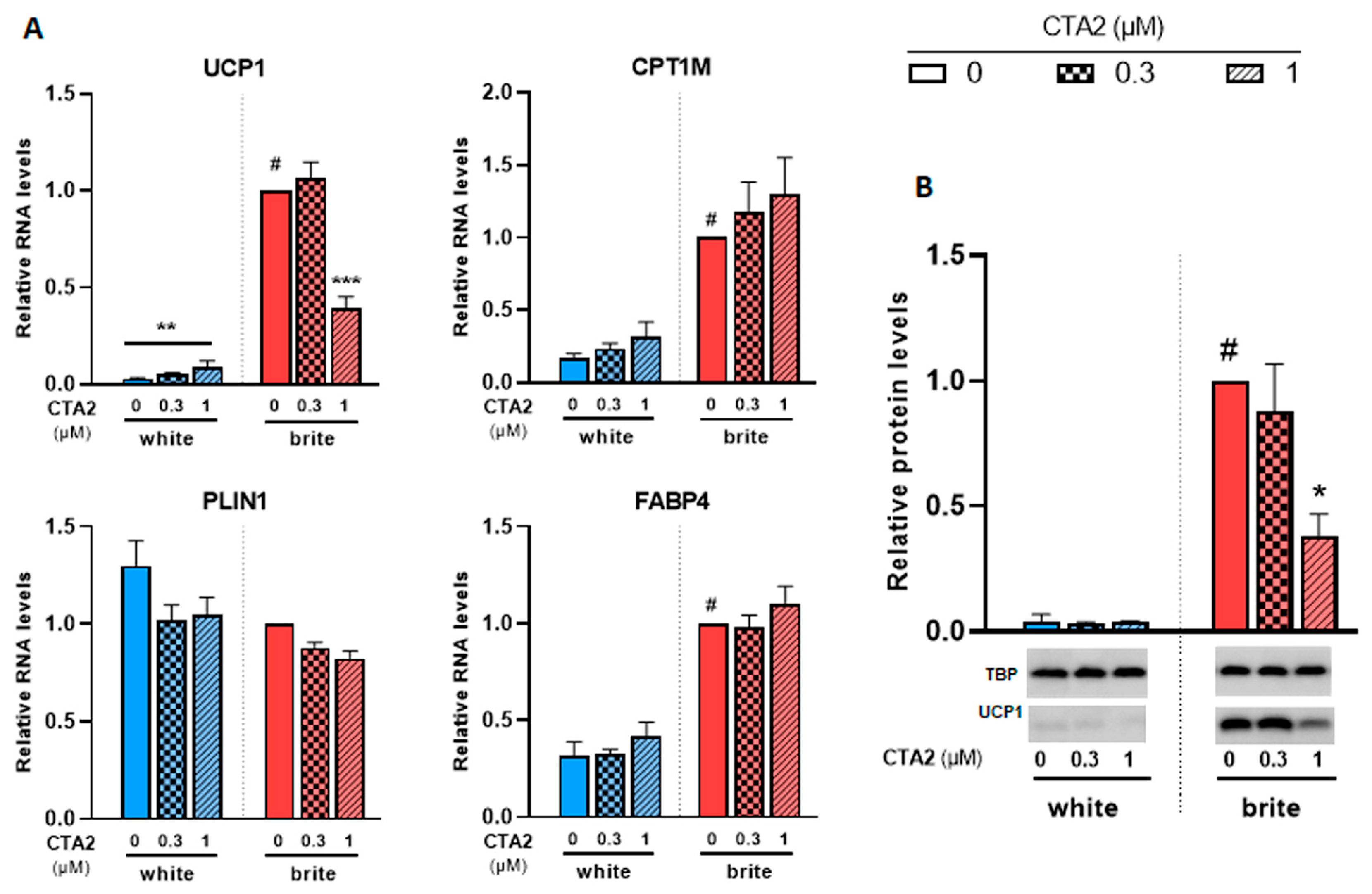 Cells 12 00446 g005 Cells 12 00446 g005