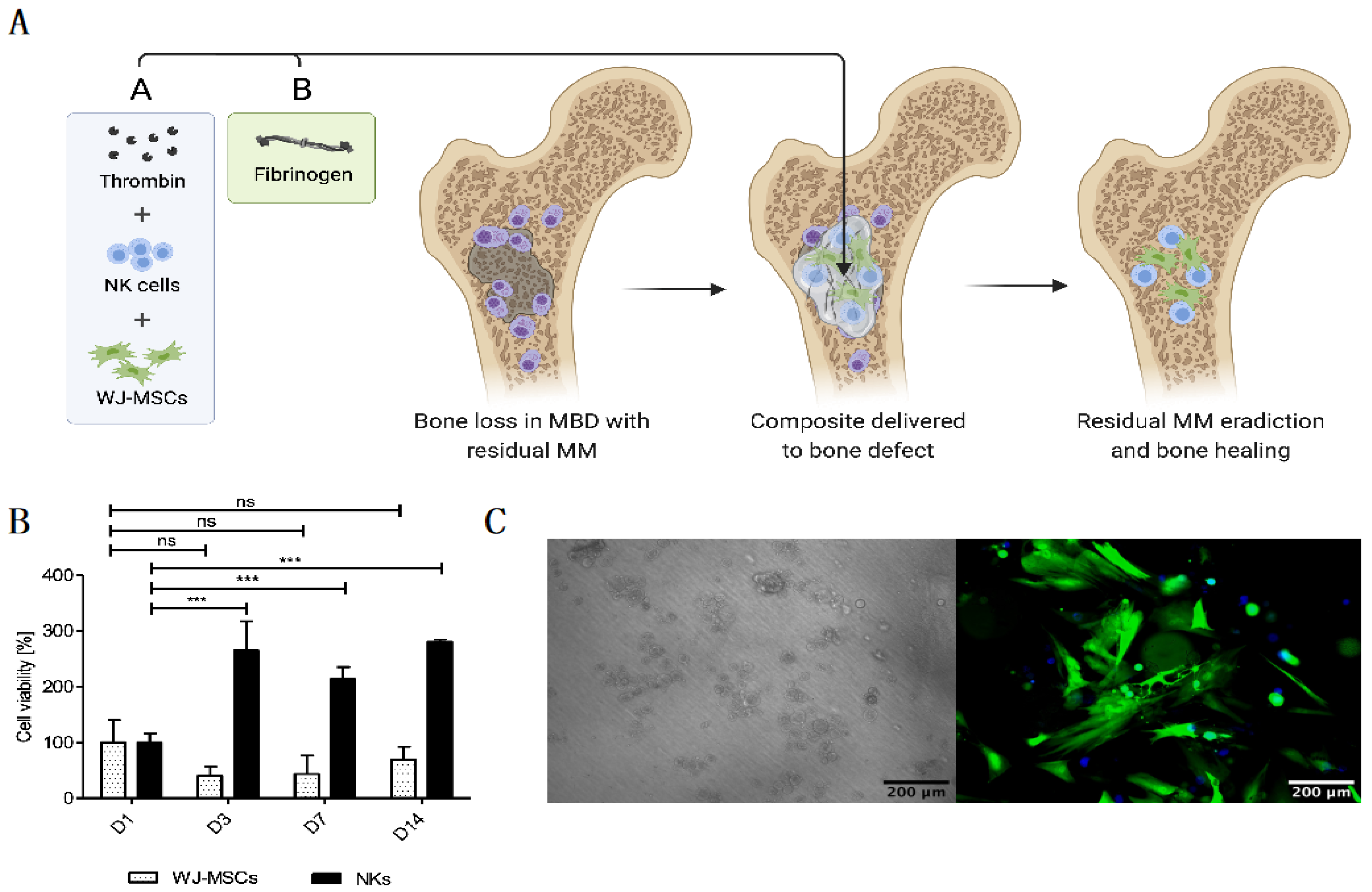 Novel Local “Off-the-Shelf” Immunotherapy for the Treatment