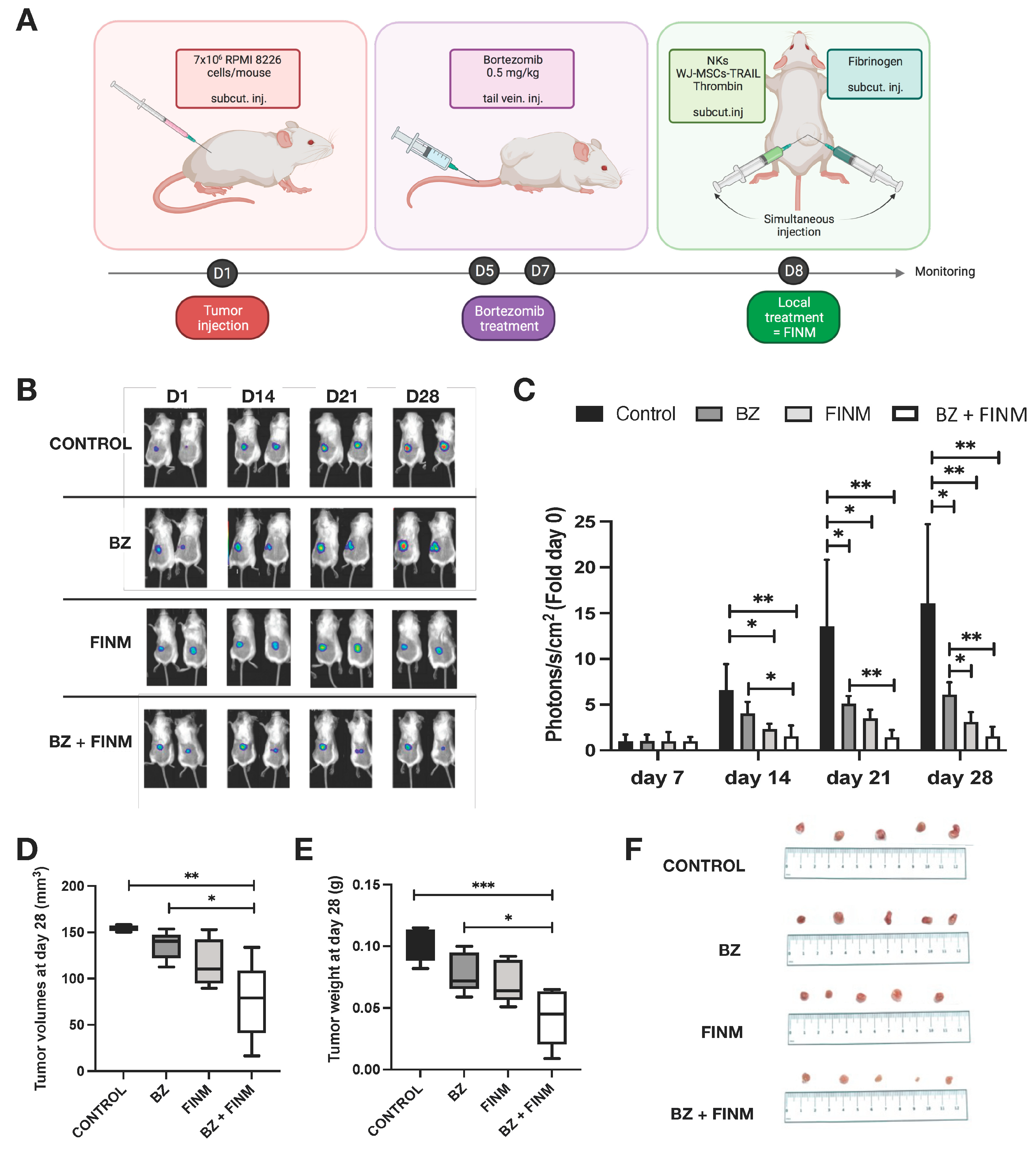 Cells 12 00448 g005 Cells 12 00448 g005