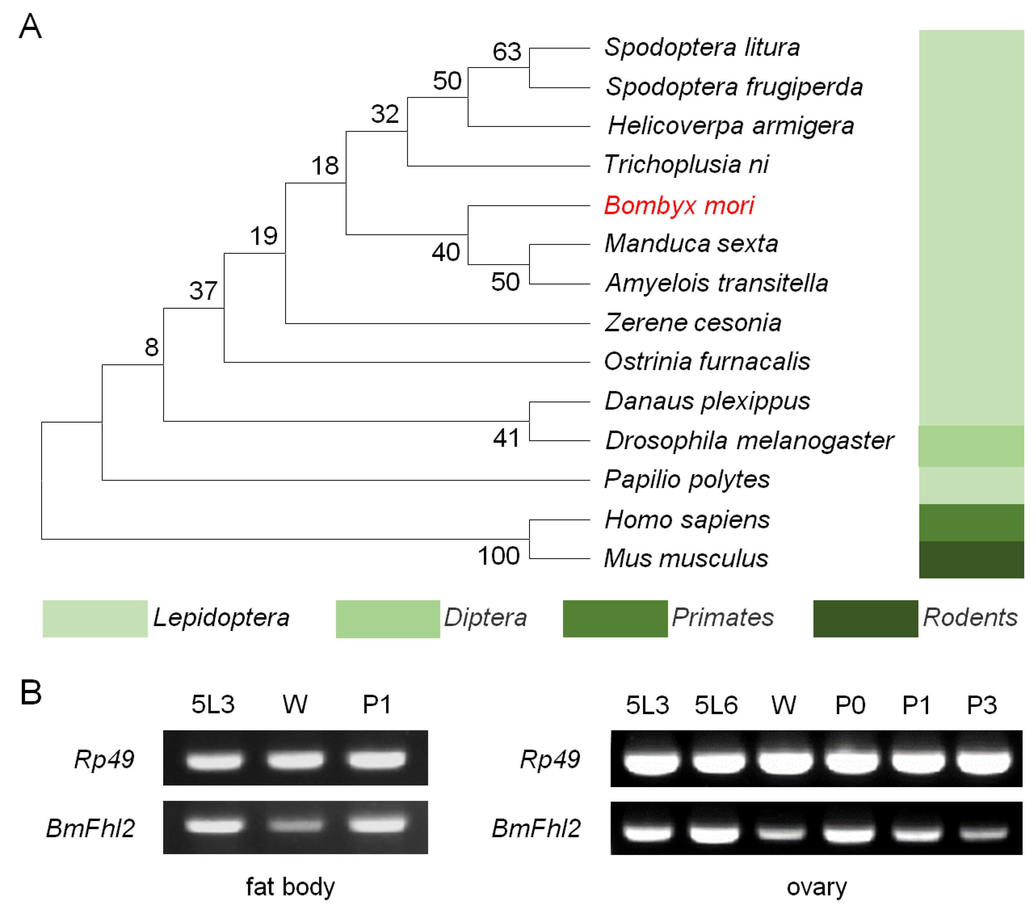 Cells 12 00452 g001 Cells 12 00452 g001