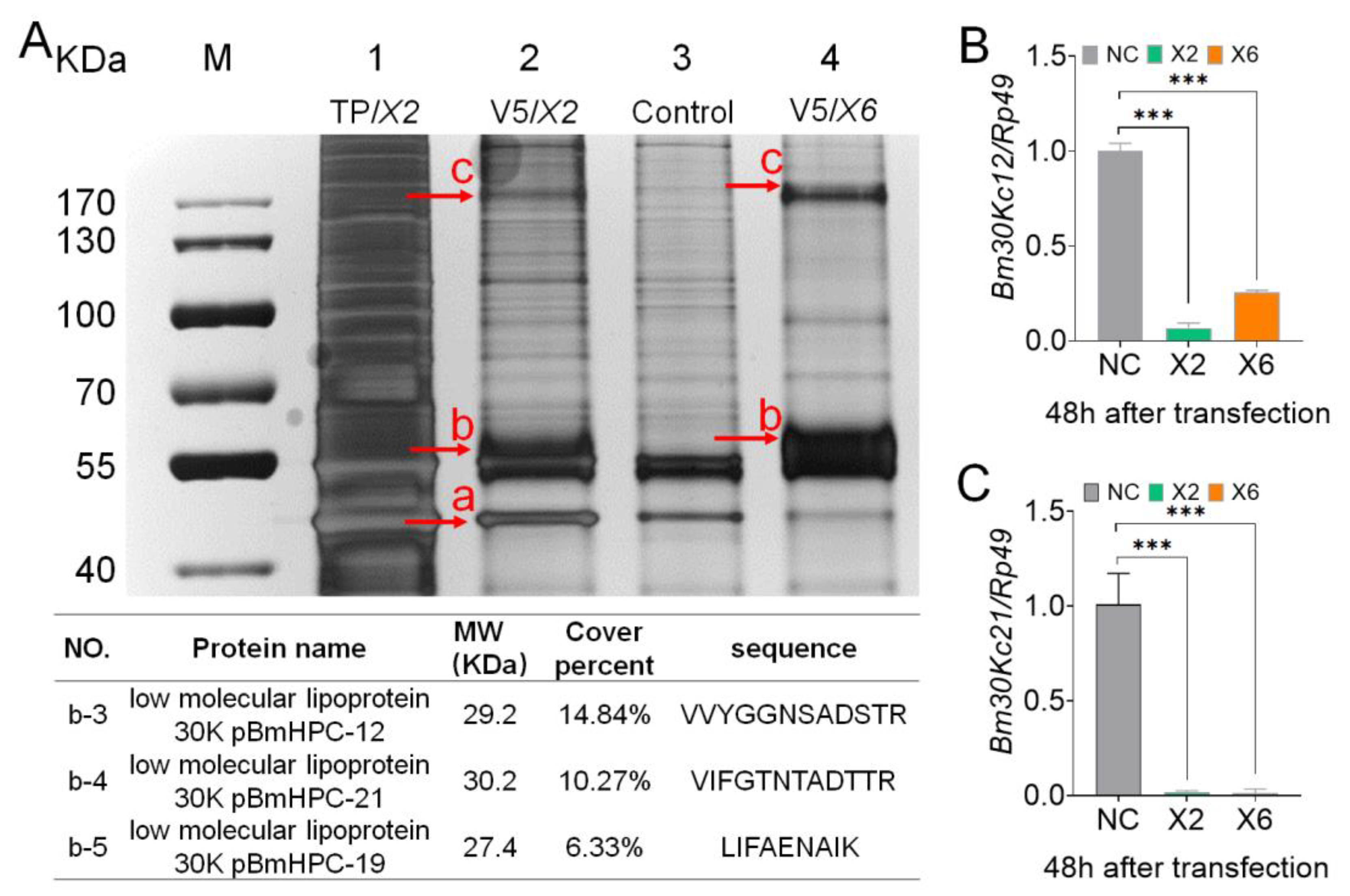Cells 12 00452 g005 Cells 12 00452 g005