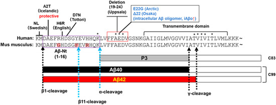 atmosphere Switching On/Off Amyloid Plaque Formation in Transgenic
