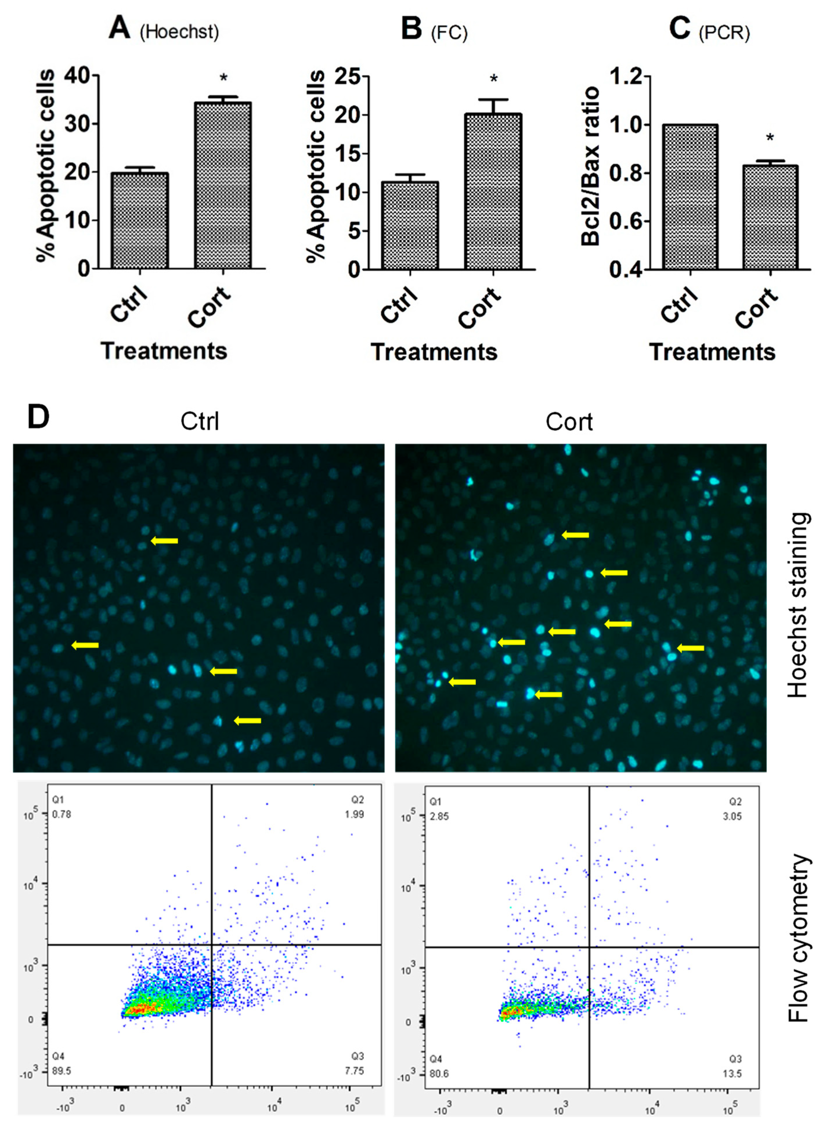 Cells 12 00455 g001 Cells 12 00455 g001