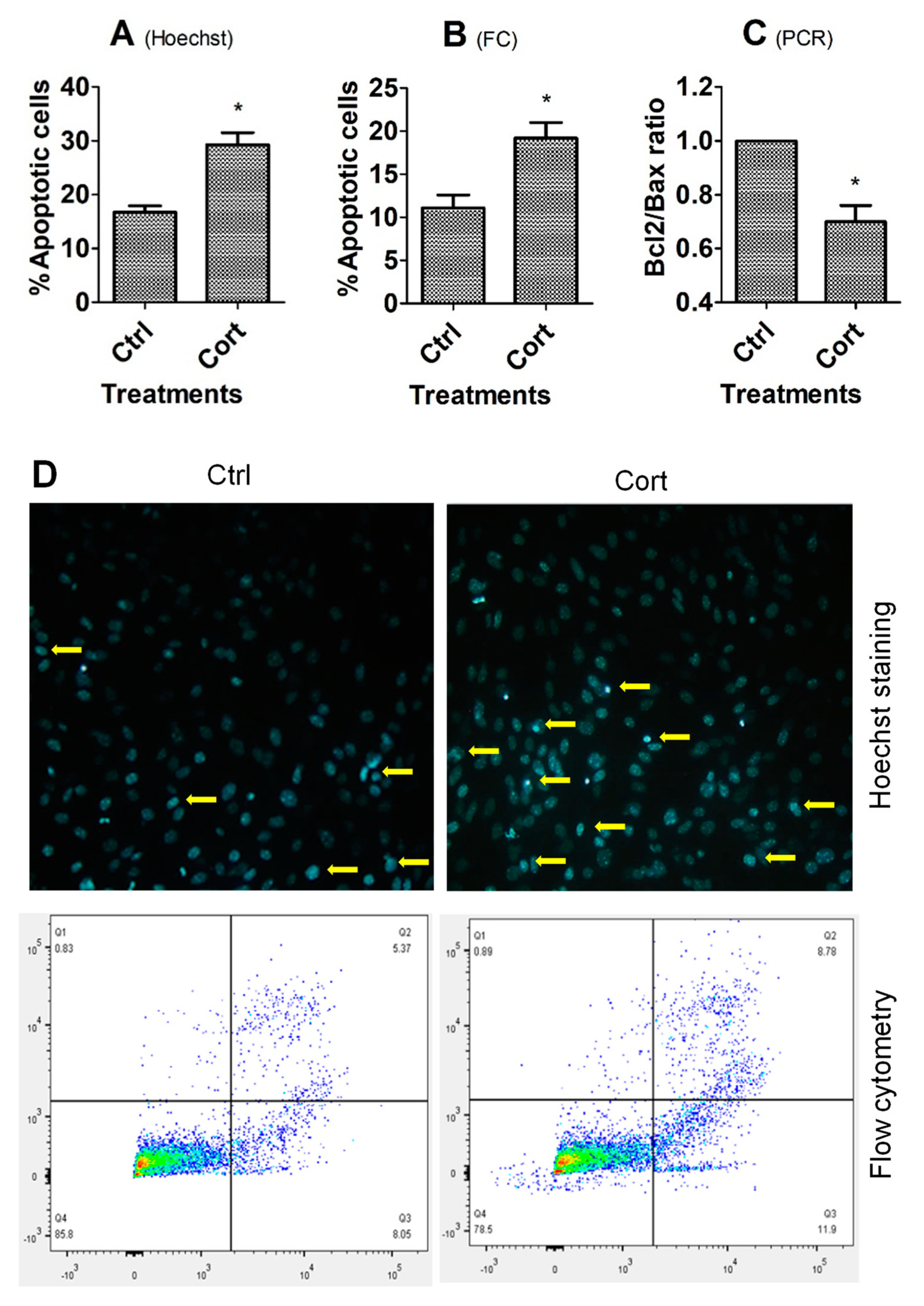 Cells 12 00455 g002 Cells 12 00455 g002