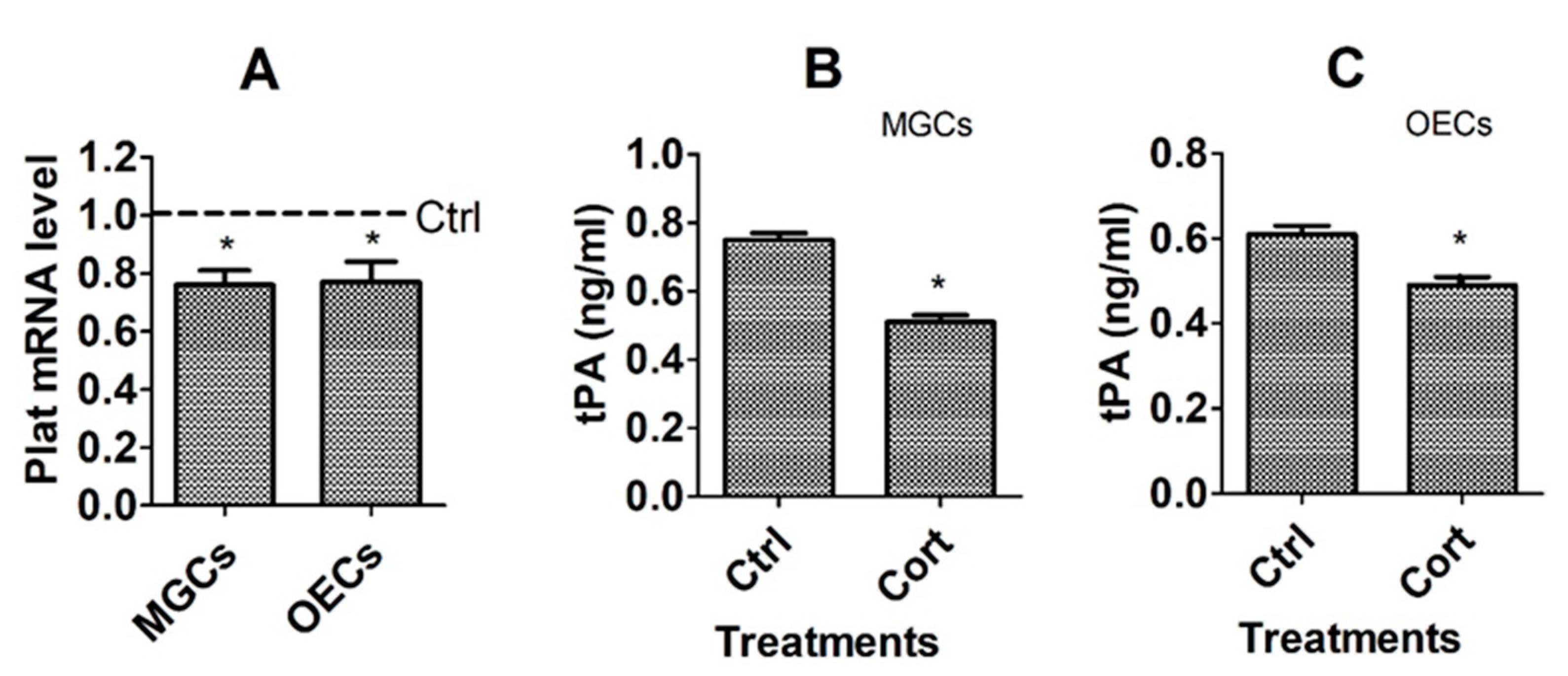 Cells 12 00455 g003 Cells 12 00455 g003