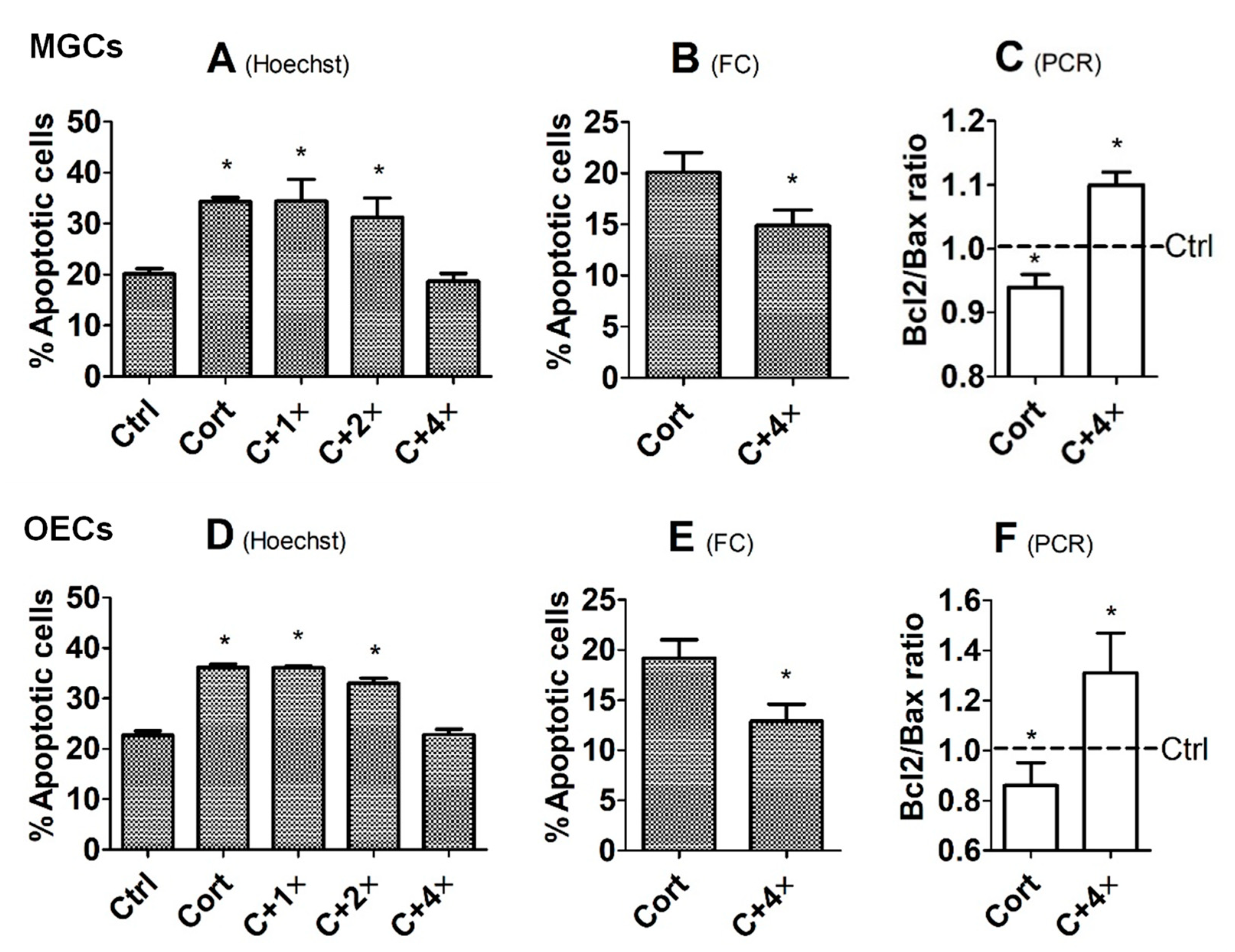 Cells 12 00455 g004 Cells 12 00455 g004