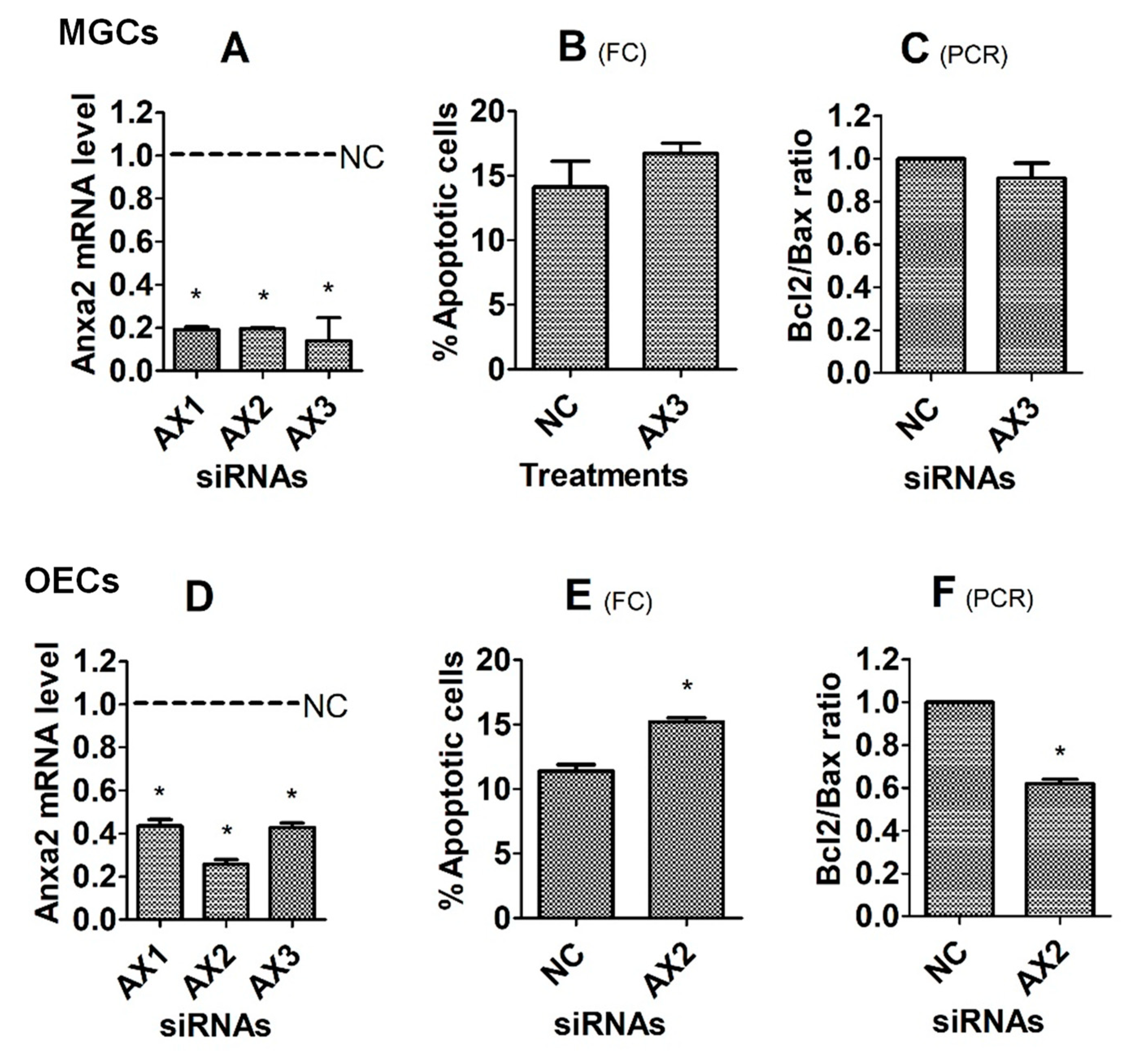 Cells 12 00455 g006 Cells 12 00455 g006