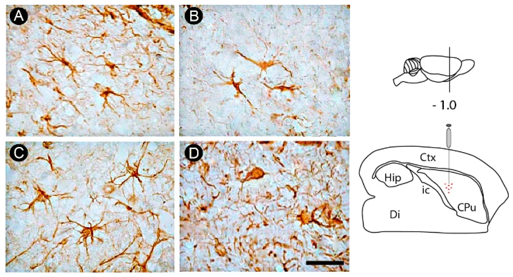 Cells 12 00457 g005 Cells 12 00457 g005