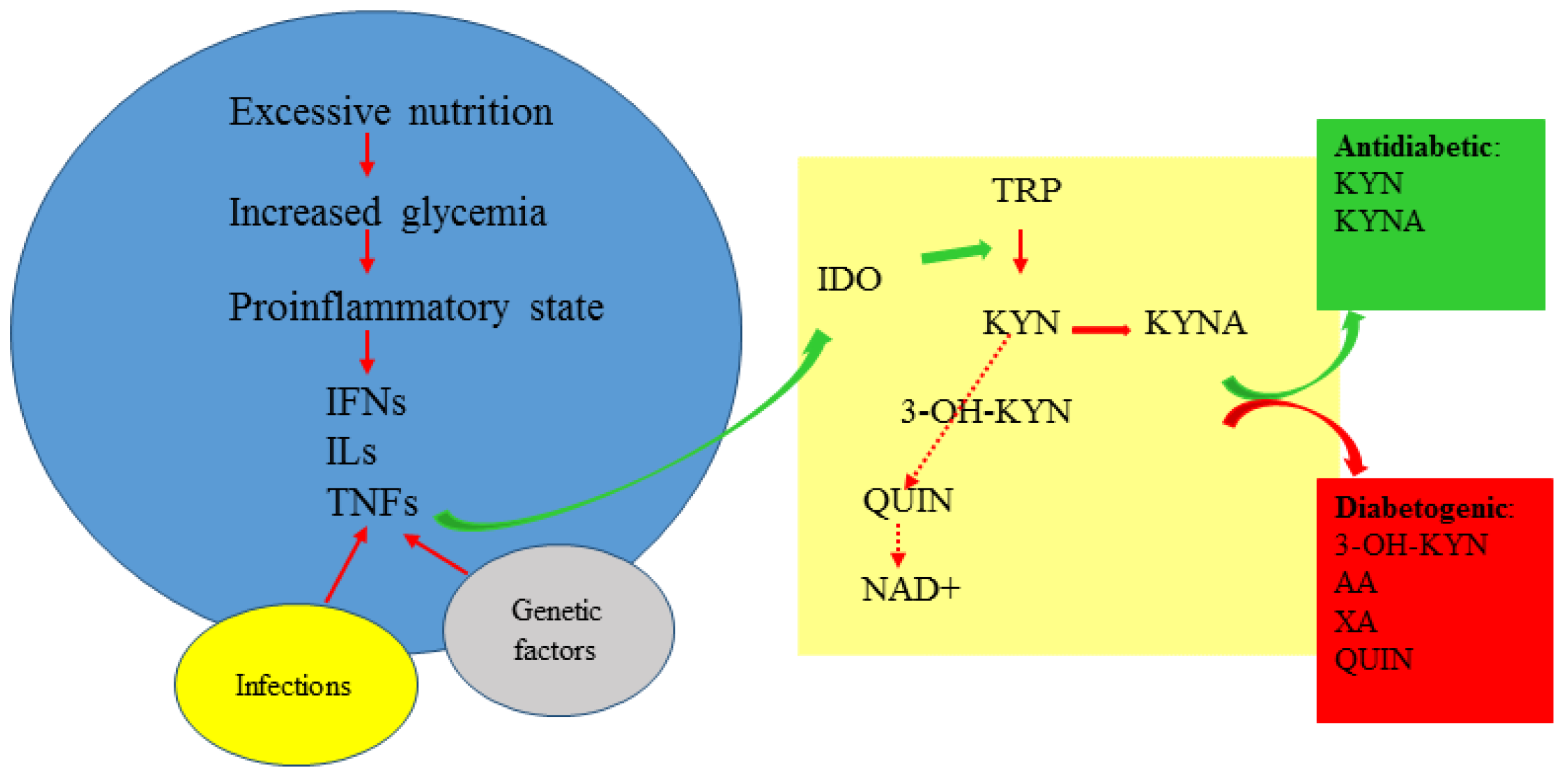 Cells 12 00460 g002 Cells 12 00460 g002