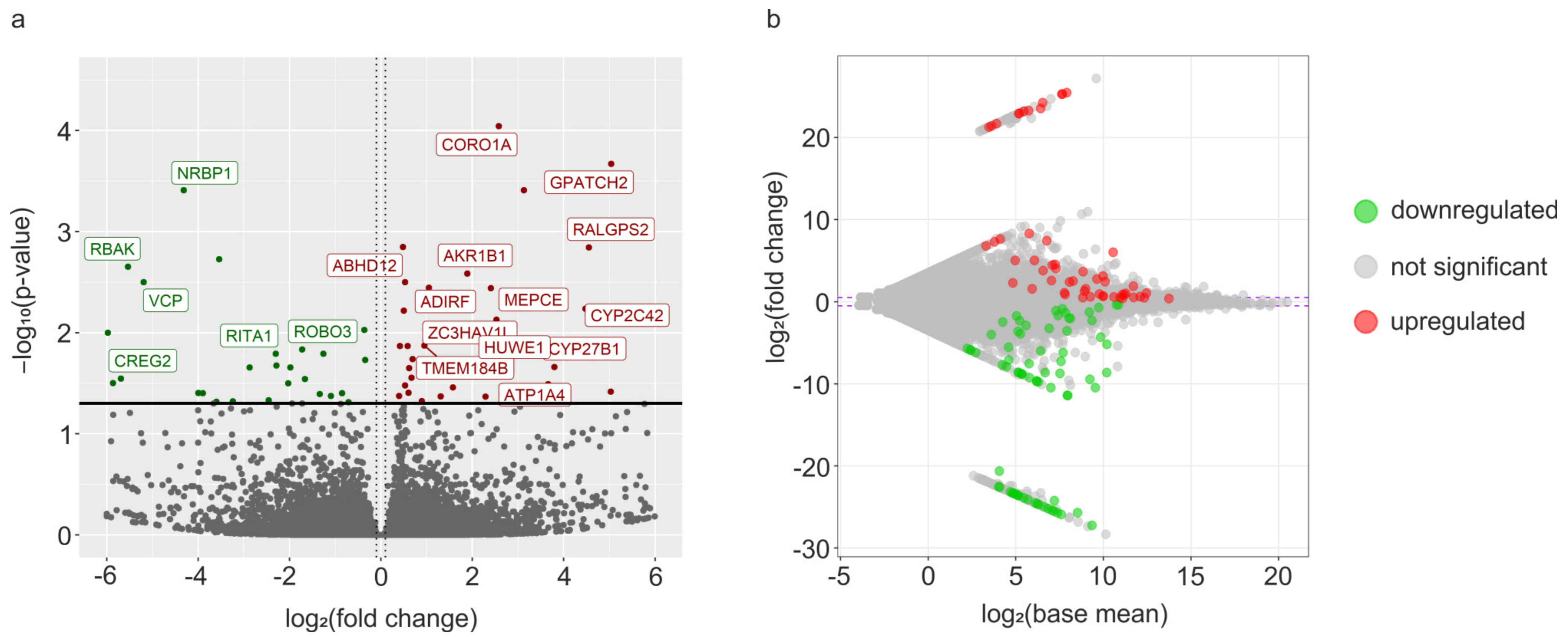 Cells 12 00462 g001 Cells 12 00462 g001