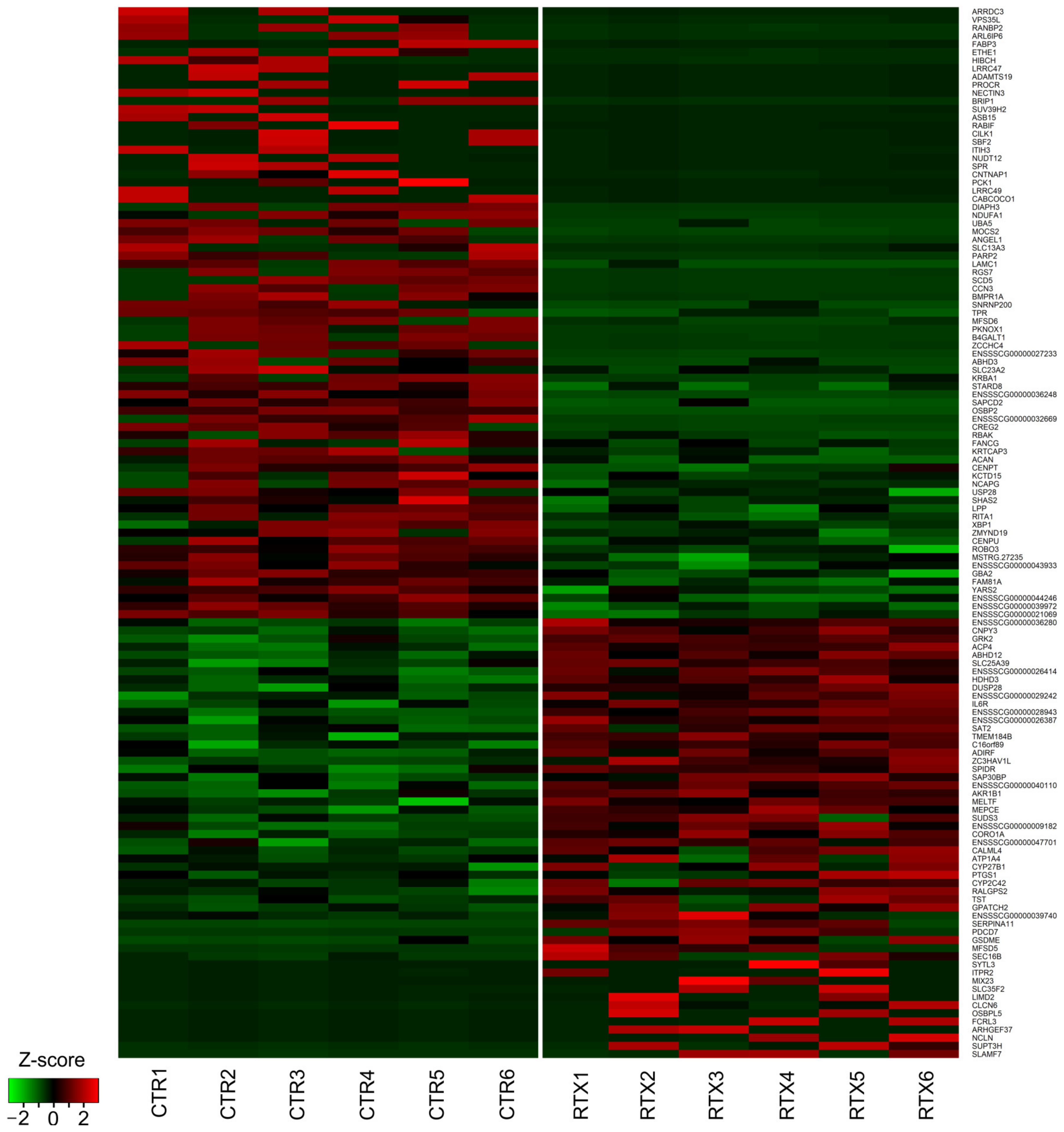 Cells 12 00462 g002 Cells 12 00462 g002