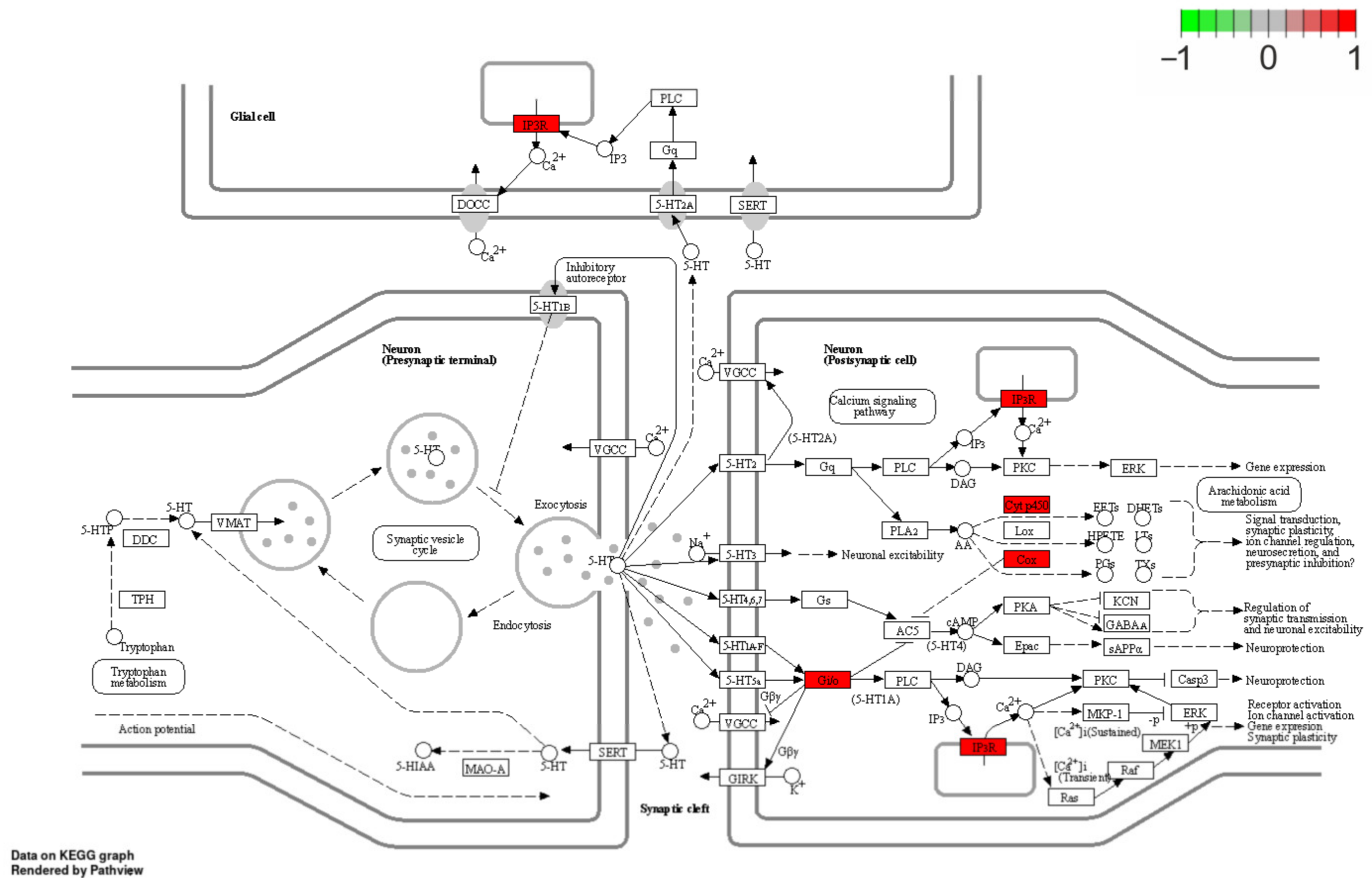 Cells 12 00462 g004 Cells 12 00462 g004