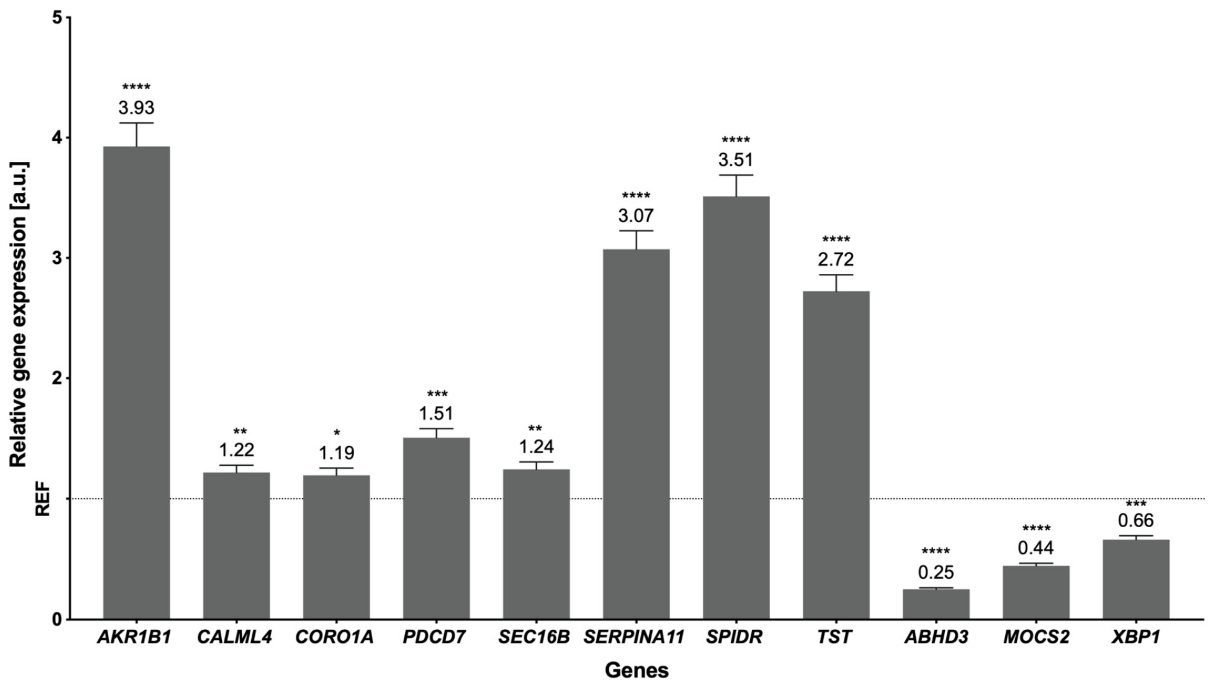 Cells 12 00462 g005 Cells 12 00462 g005