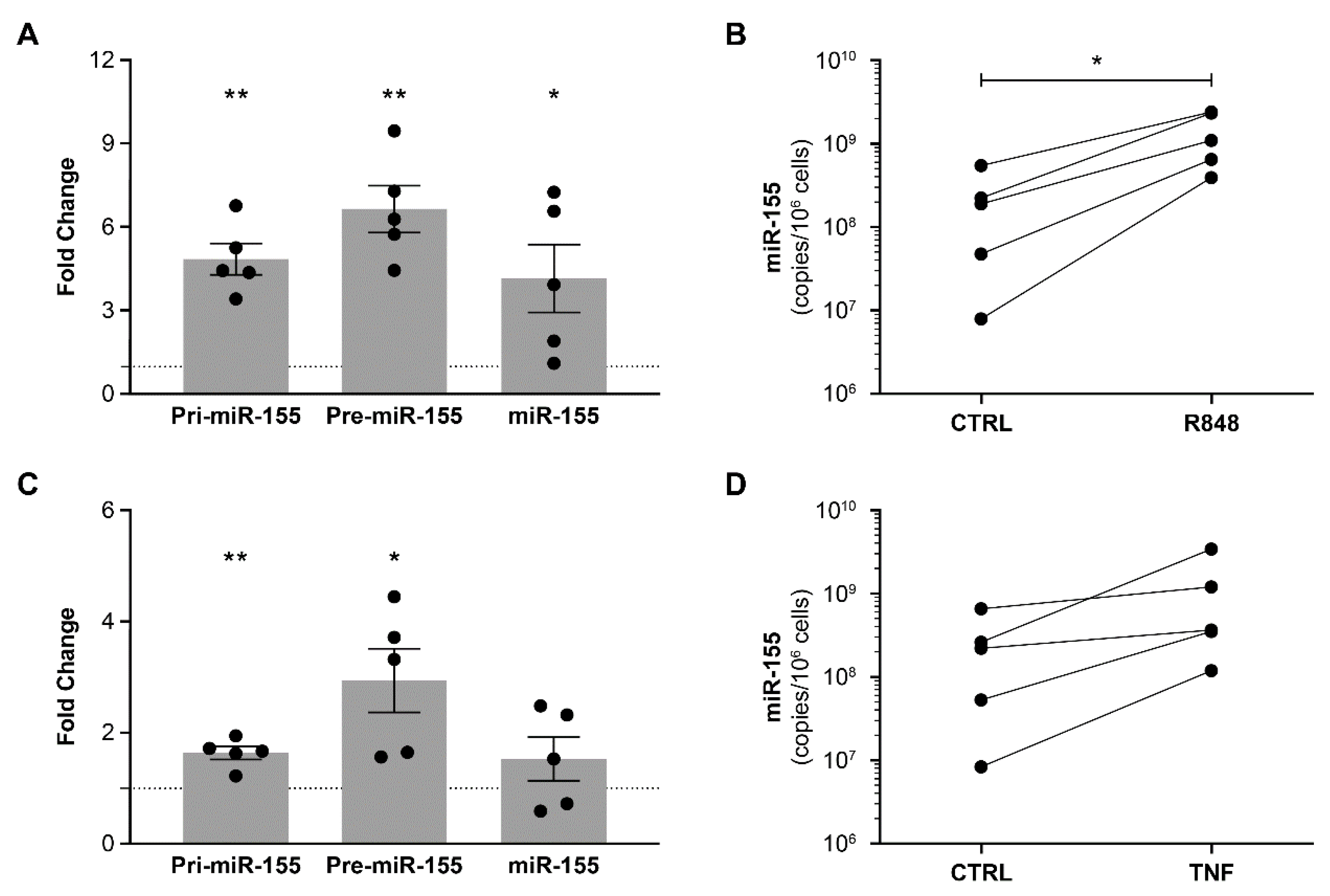 Cells 12 00466 g002 Cells 12 00466 g002
