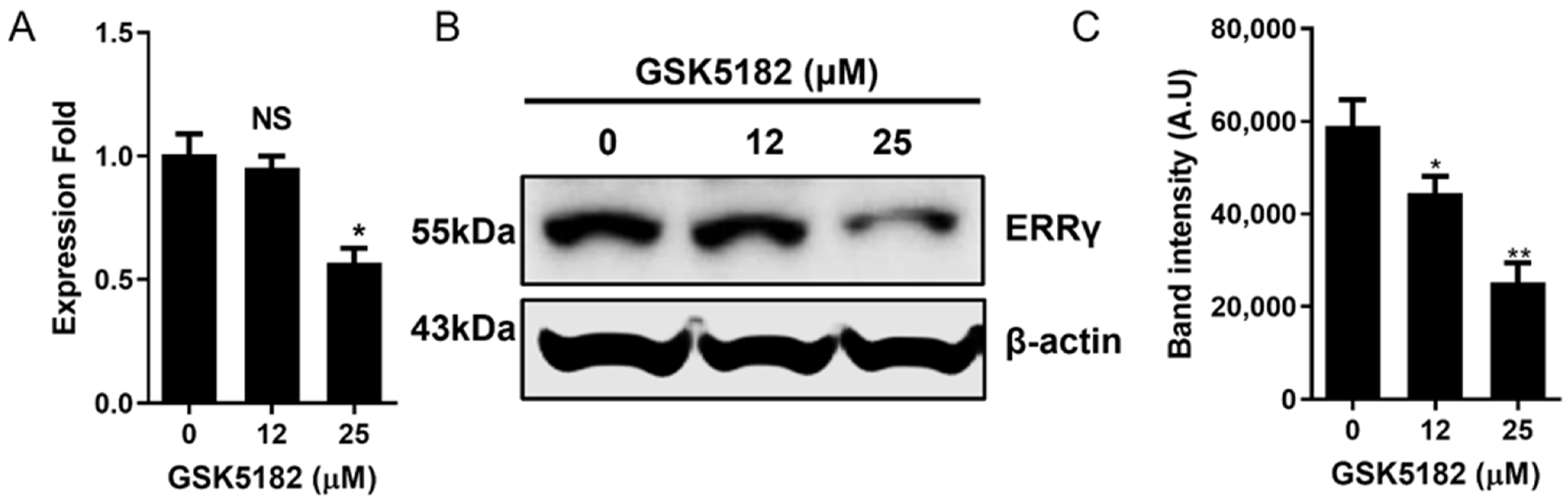 Cells 12 00470 g002 Cells 12 00470 g002