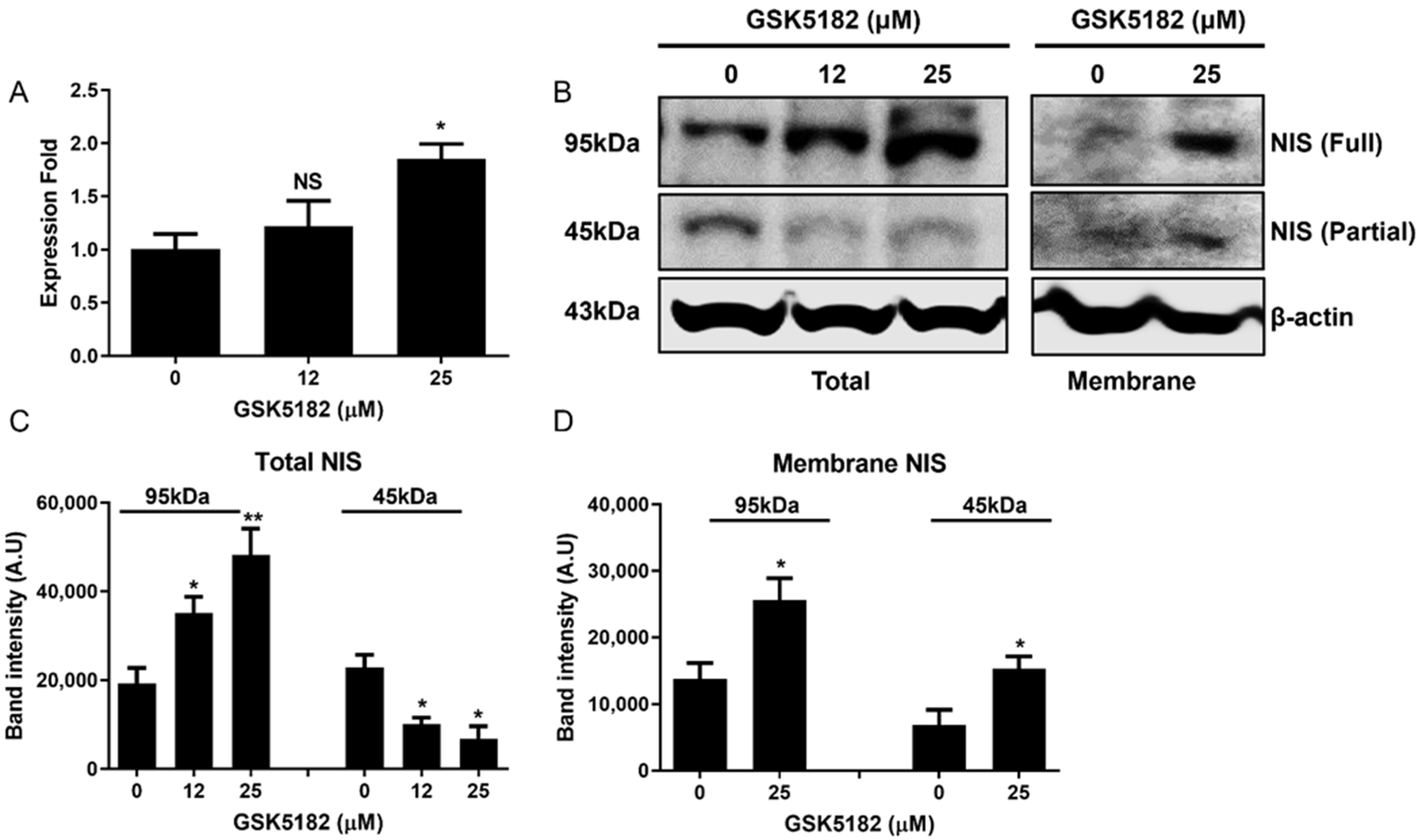 Cells 12 00470 g003 Cells 12 00470 g003