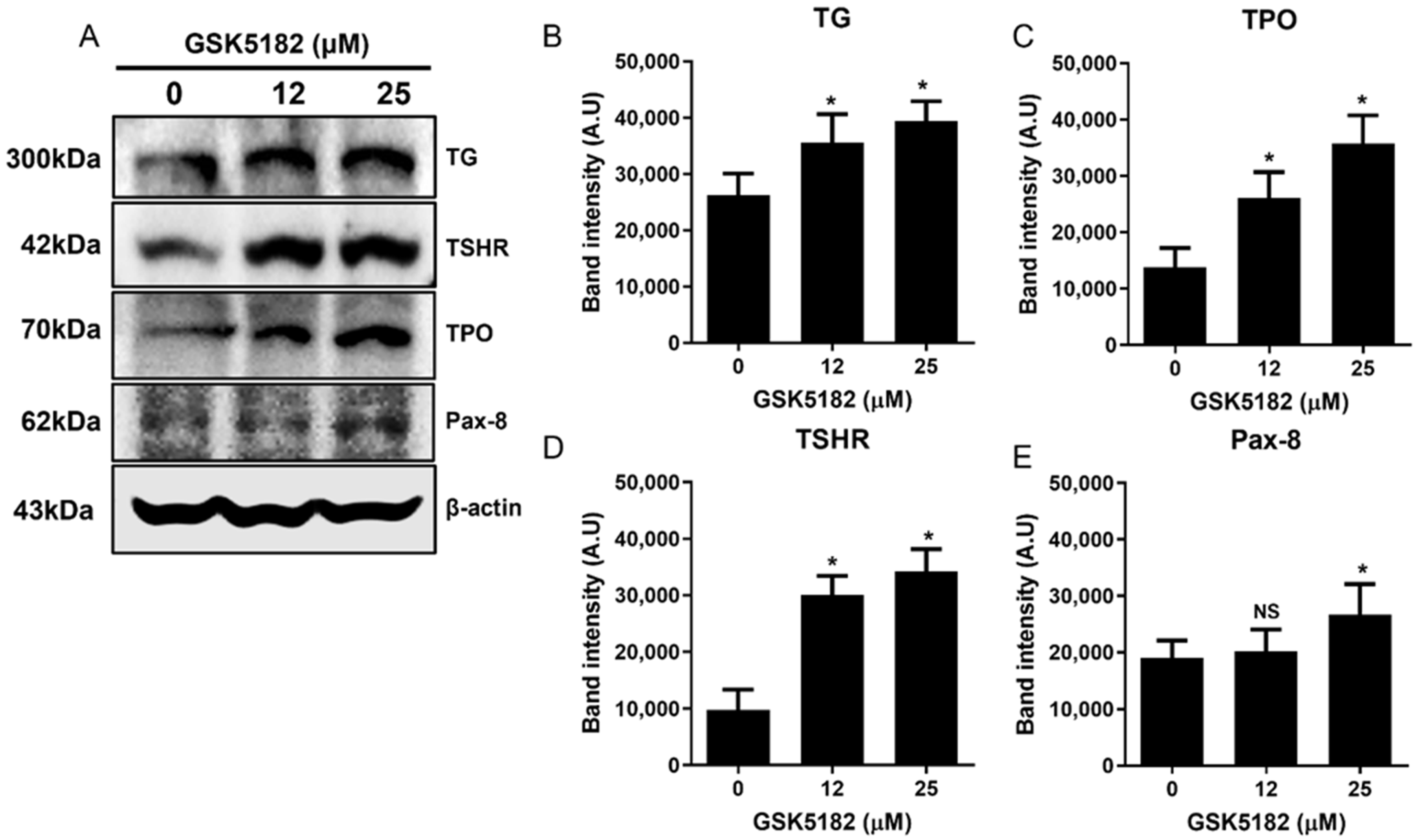 Cells 12 00470 g004 Cells 12 00470 g004