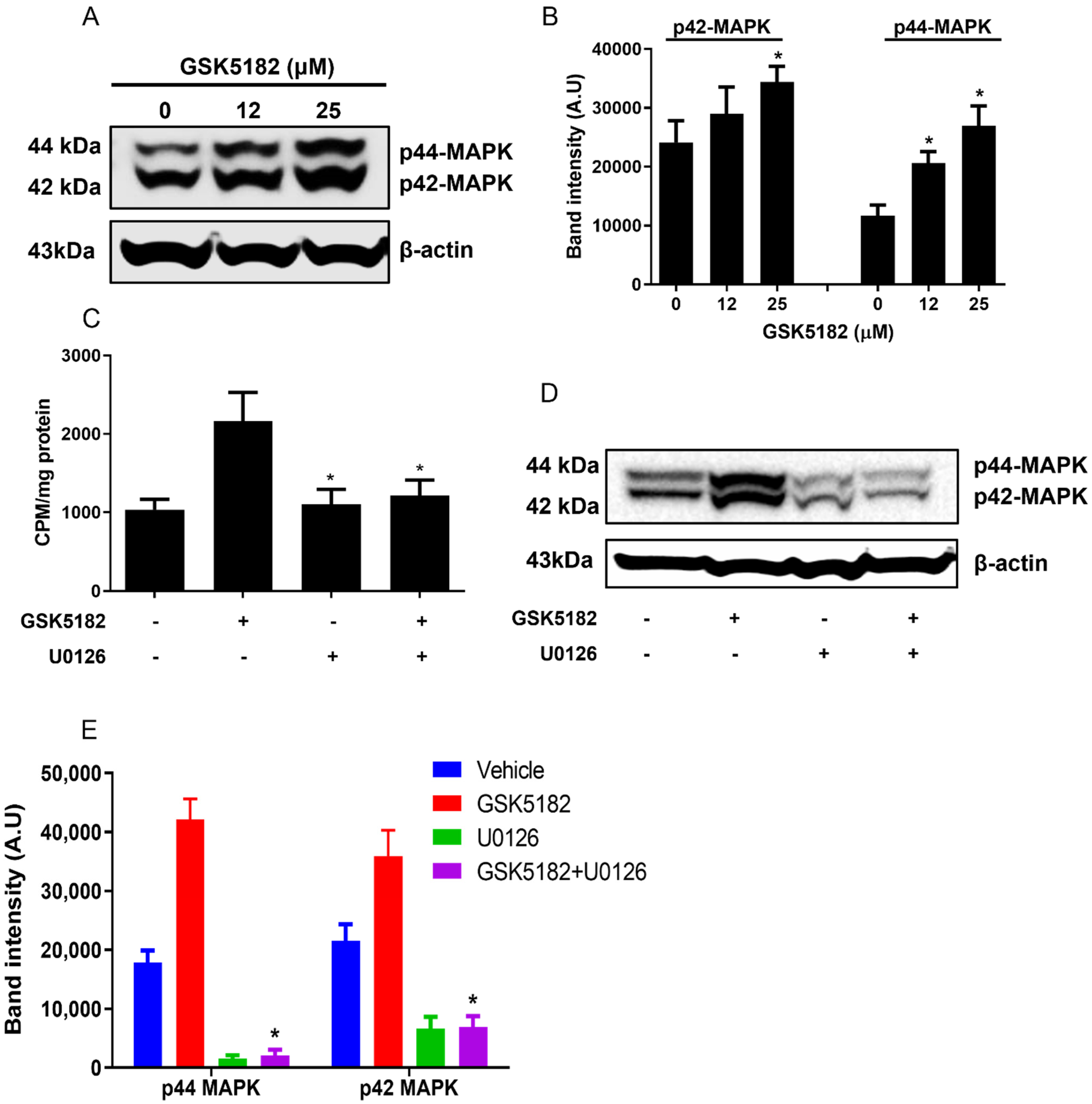 Cells 12 00470 g005 Cells 12 00470 g005