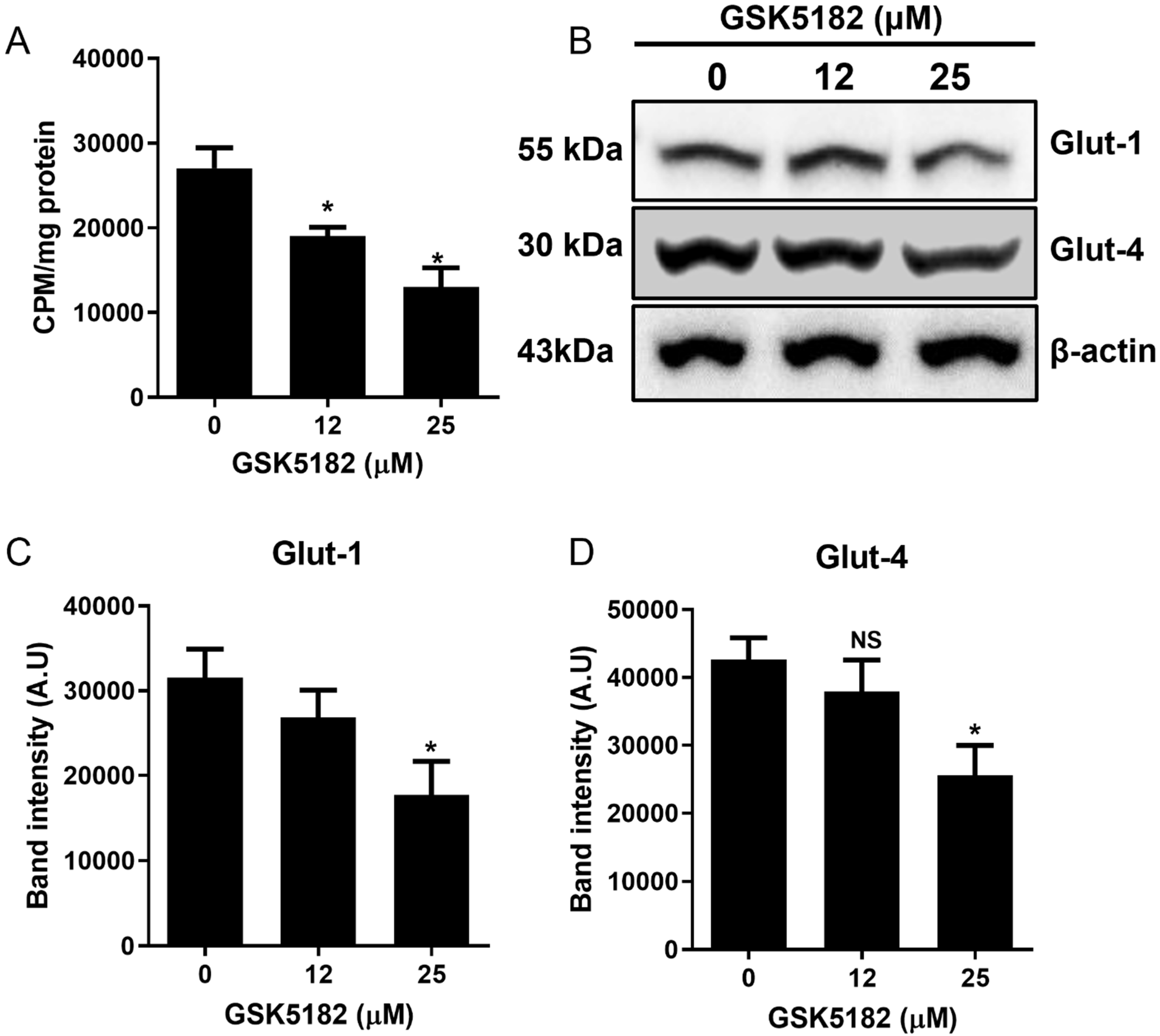 Cells 12 00470 g006 Cells 12 00470 g006