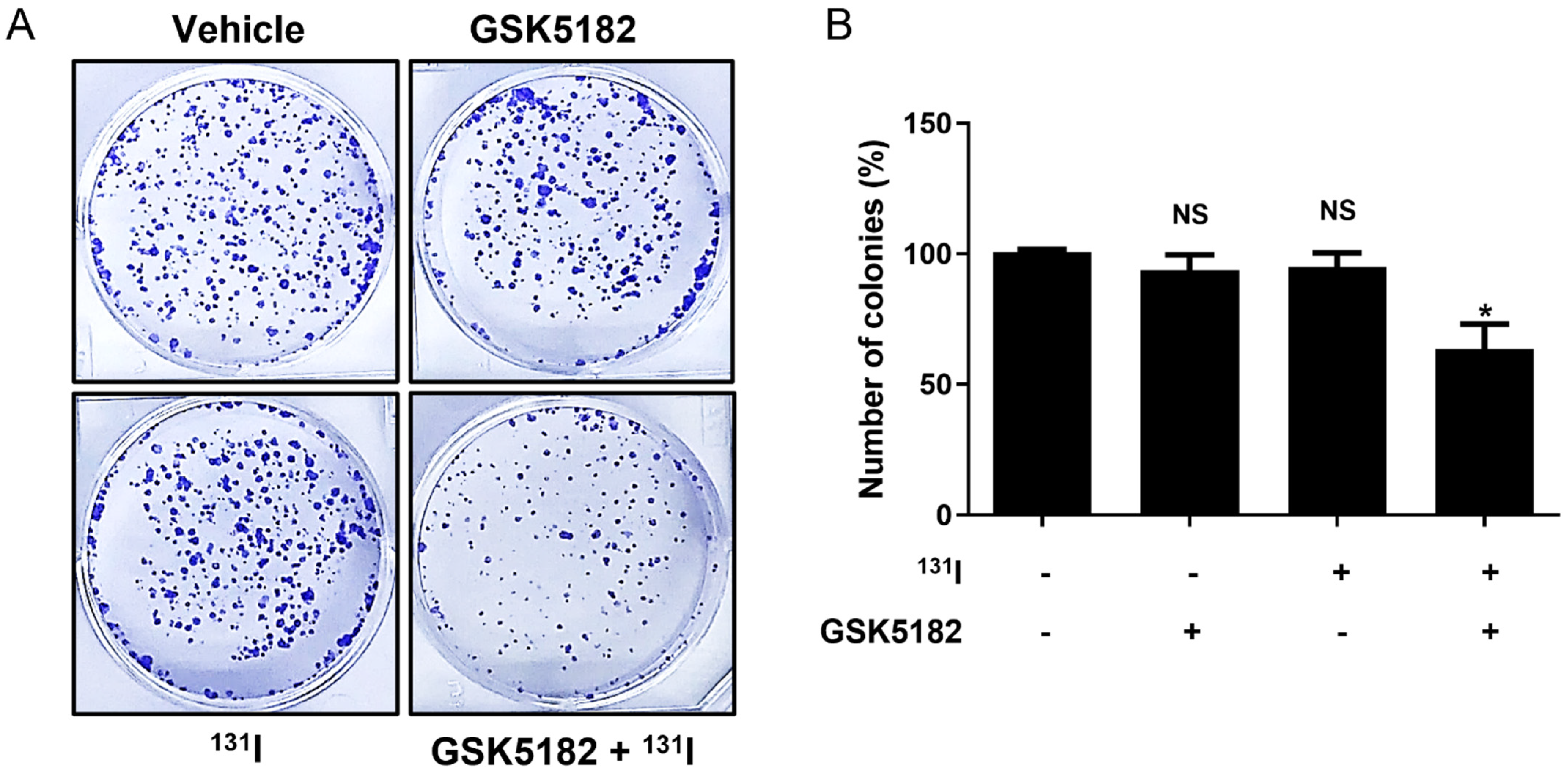 Cells 12 00470 g007 Cells 12 00470 g007