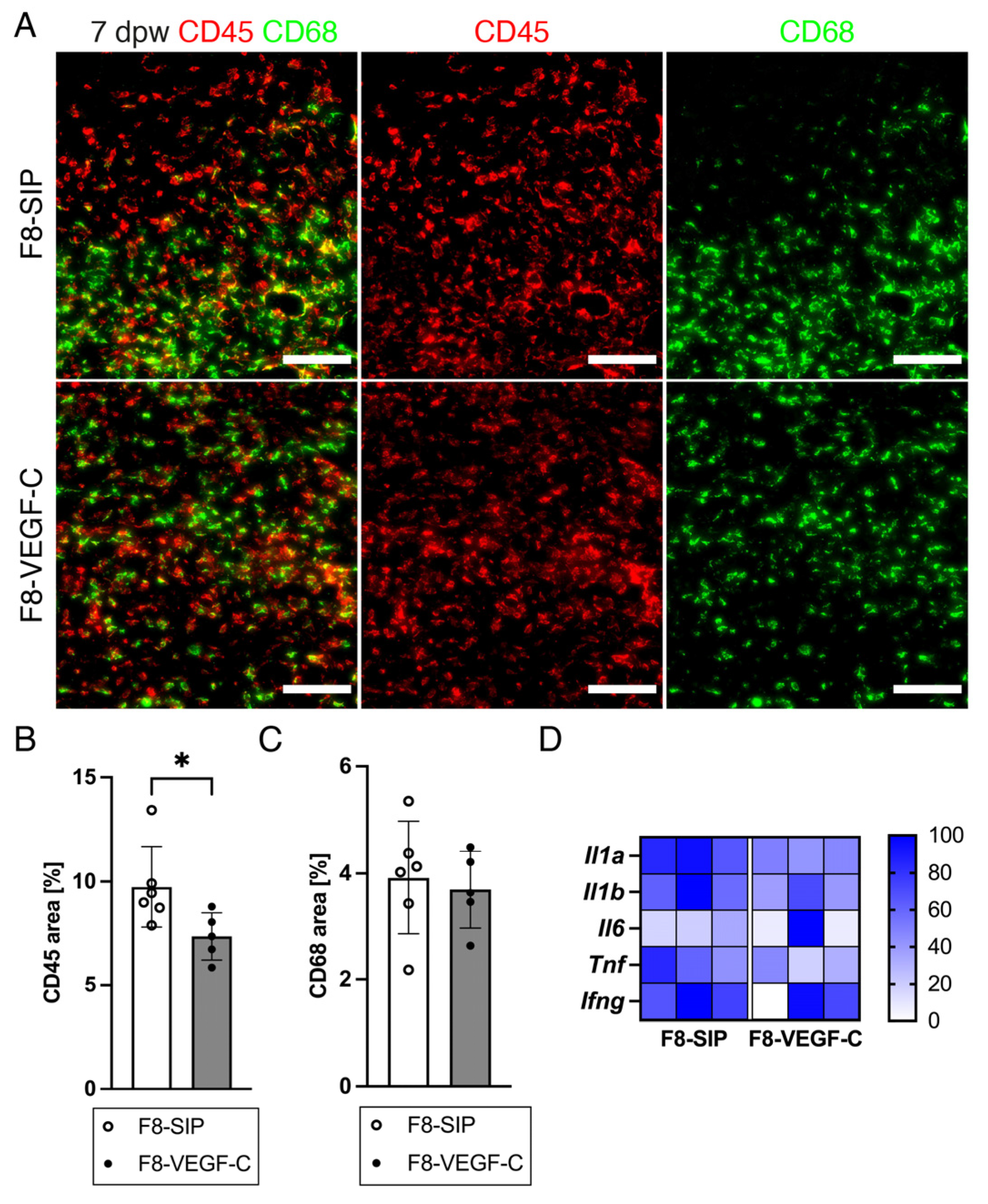 Cells 12 00472 g007 Cells 12 00472 g007