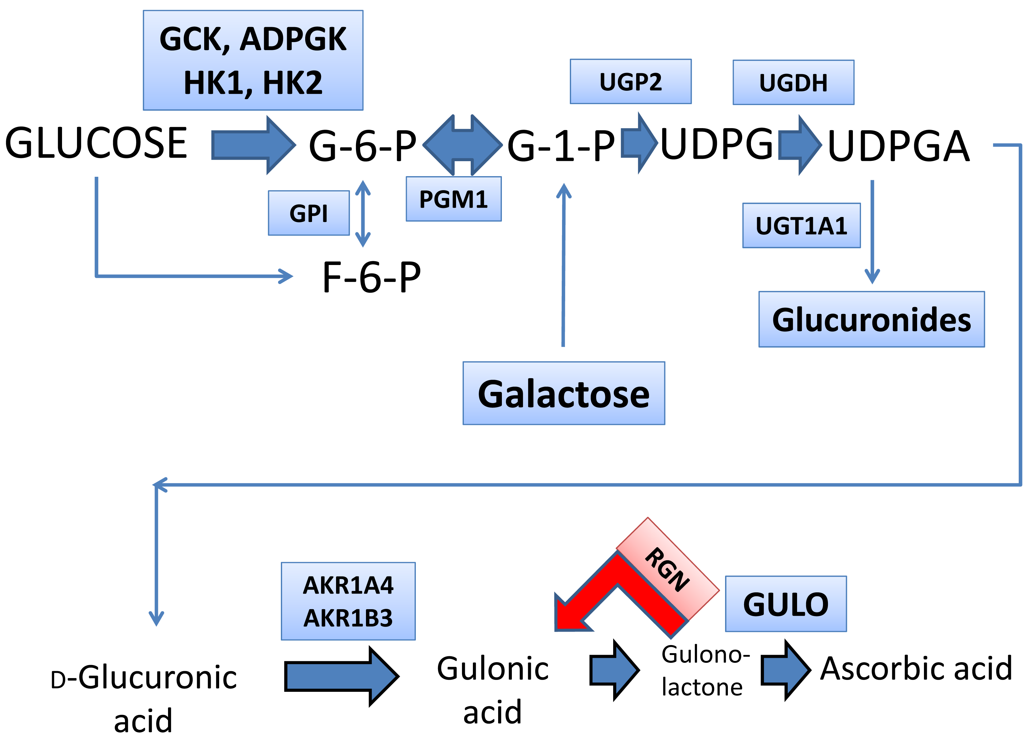 Cells 12 00485 g001 Cells 12 00485 g001