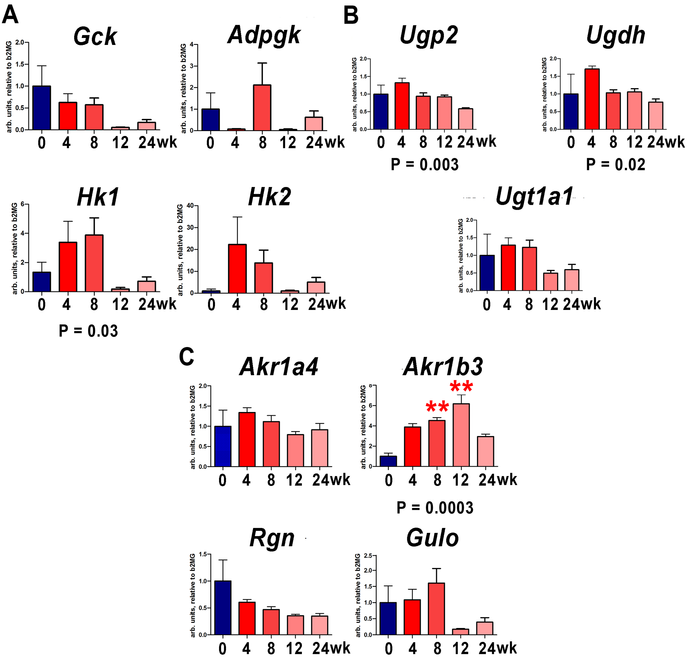 Cells 12 00485 g008 Cells 12 00485 g008