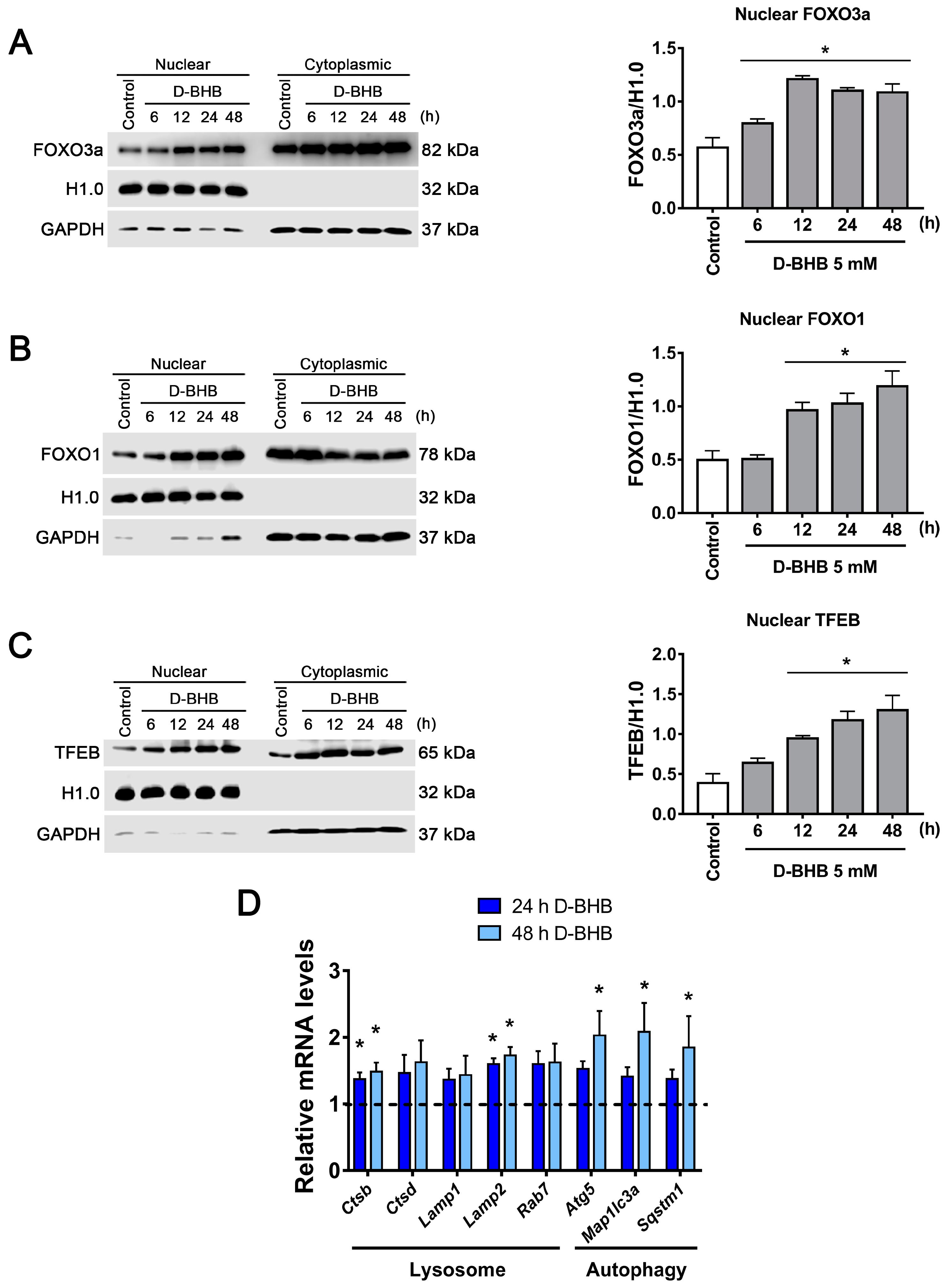 Cells 12 00486 g007 Cells 12 00486 g007