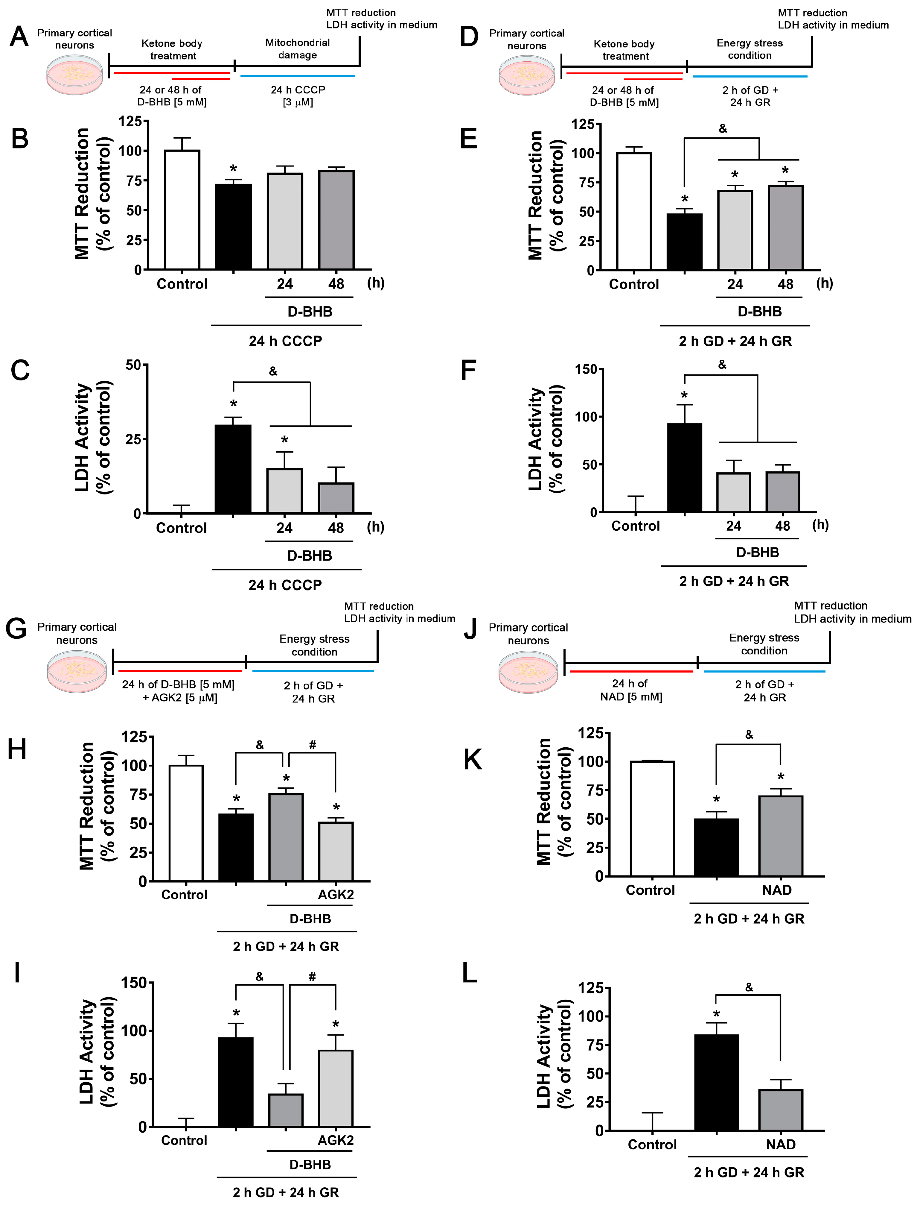 Cells 12 00486 g009 Cells 12 00486 g009