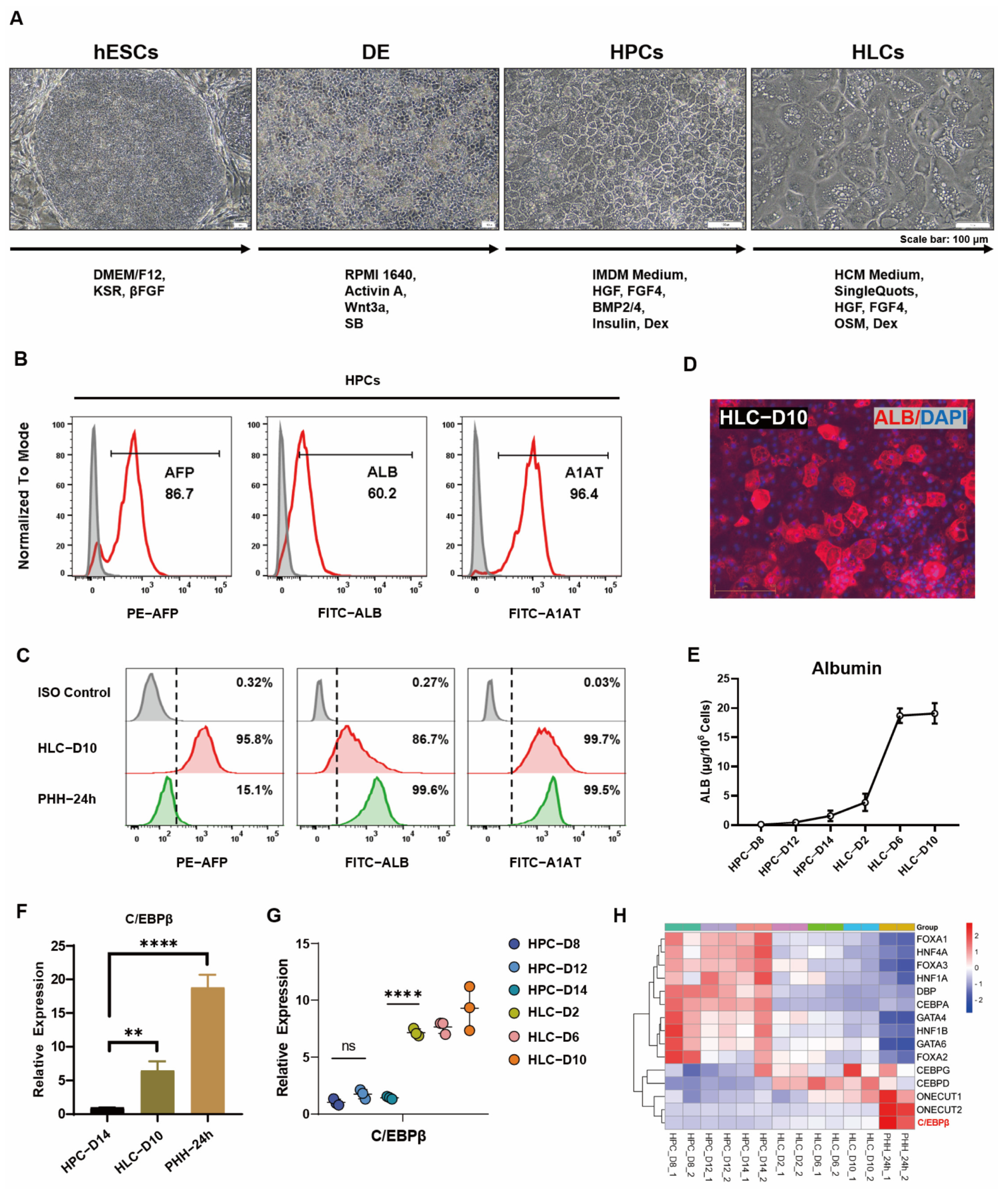 Cells 12 00497 g001 Cells 12 00497 g001