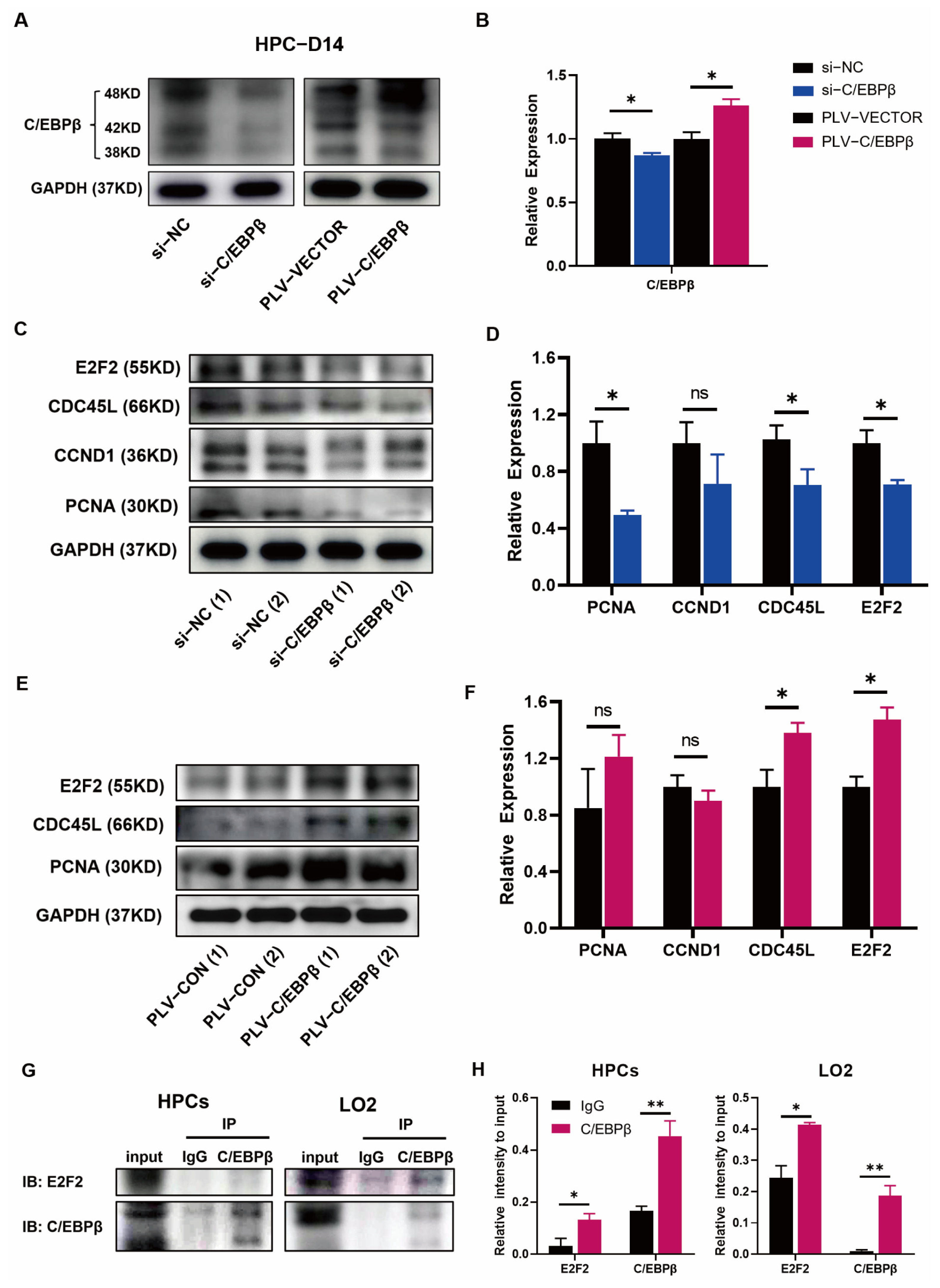 Cells 12 00497 g005 Cells 12 00497 g005