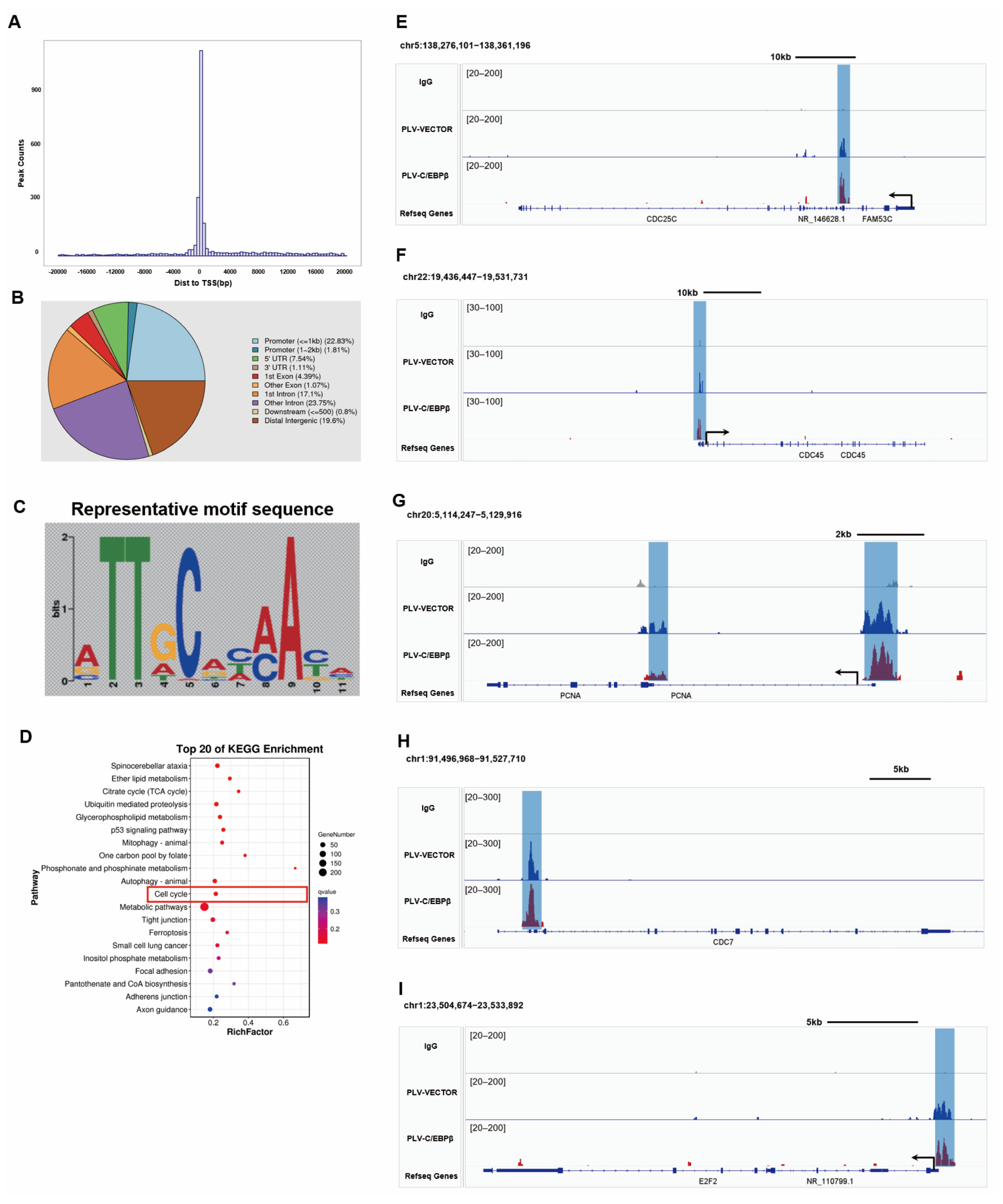 Cells 12 00497 g006 Cells 12 00497 g006