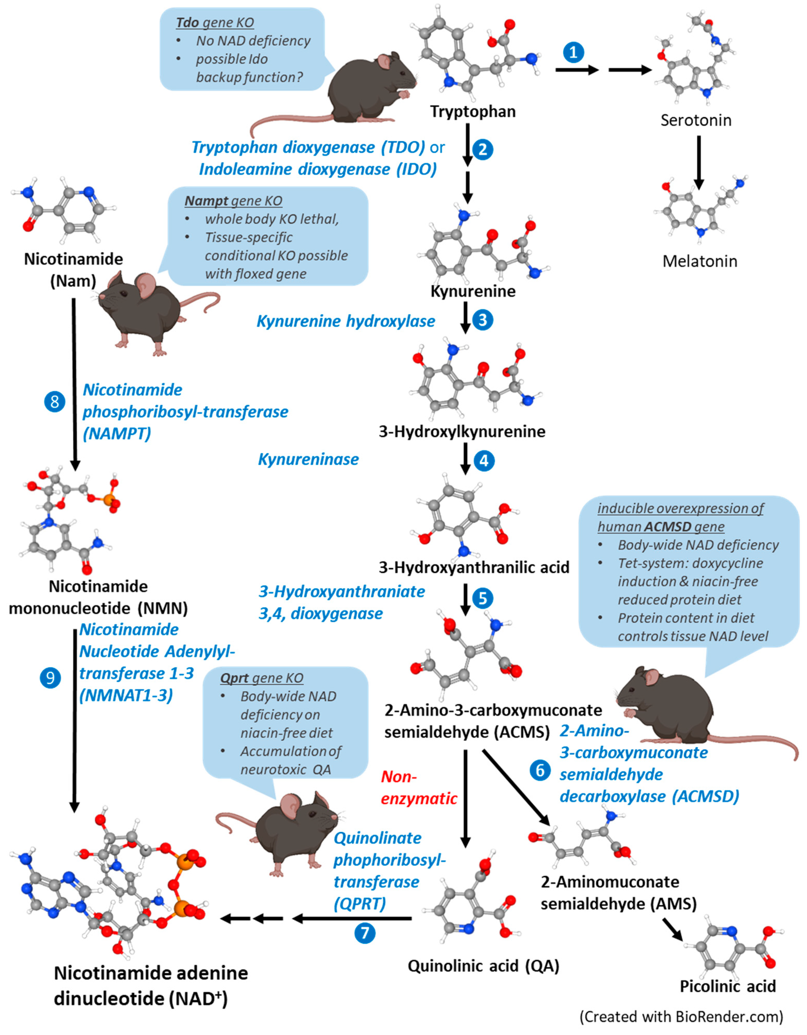 Cells 12 00500 g002 Cells 12 00500 g002