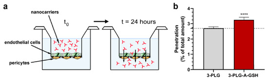 glutathione blood brain barrier Targeting Human Endothelial Cells with Glutathione and Alanine Increases the Crossing of a Polypeptide Nanocarrier through a Blood–Brain Barrier Model and Entry to Human Brain Organoids