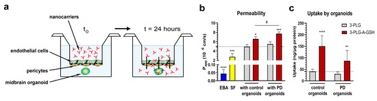 glutathione cross blood brain barrier Our Science Nacuity Pharmaceuticals Advances in brain-targeted delivery strategies
