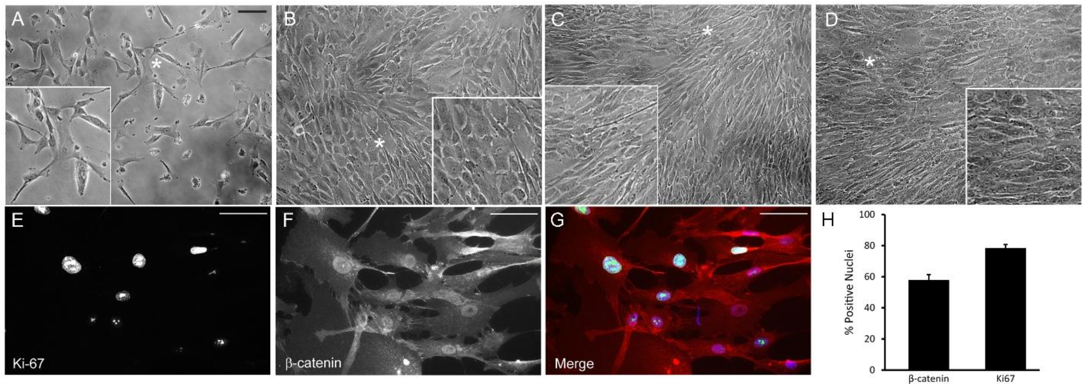 Cells 12 00504 g002 Cells 12 00504 g002