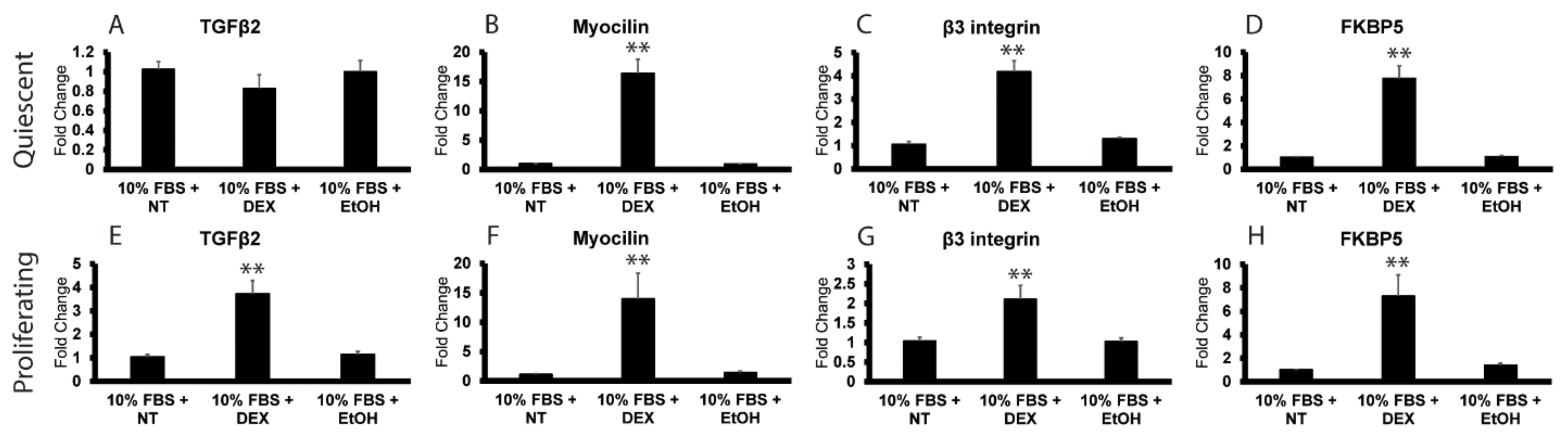 Cells 12 00504 g004 Cells 12 00504 g004