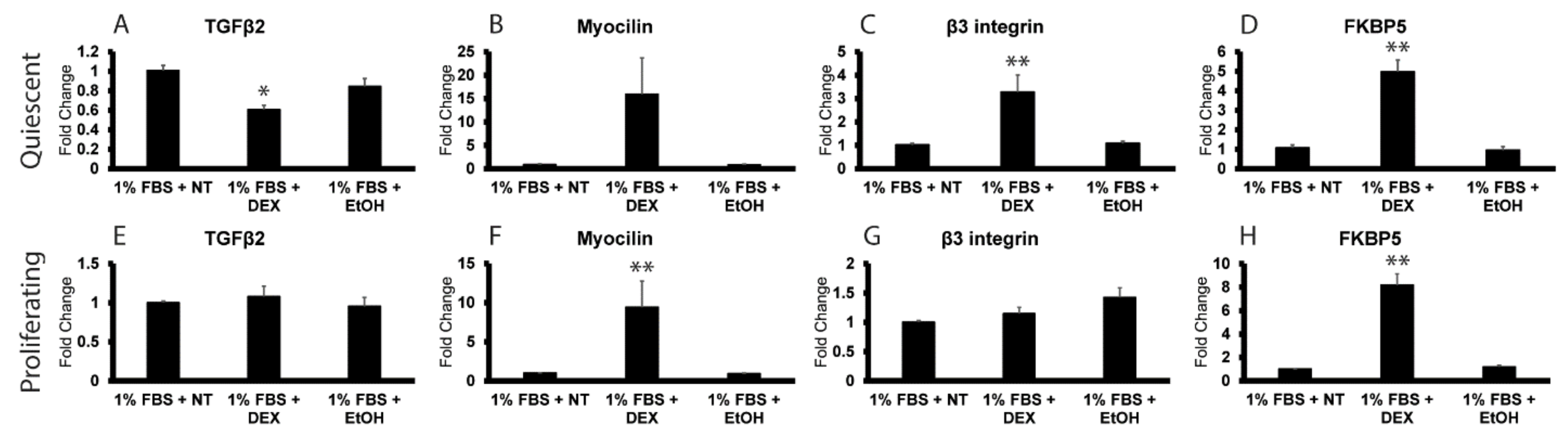 Cells 12 00504 g005 Cells 12 00504 g005