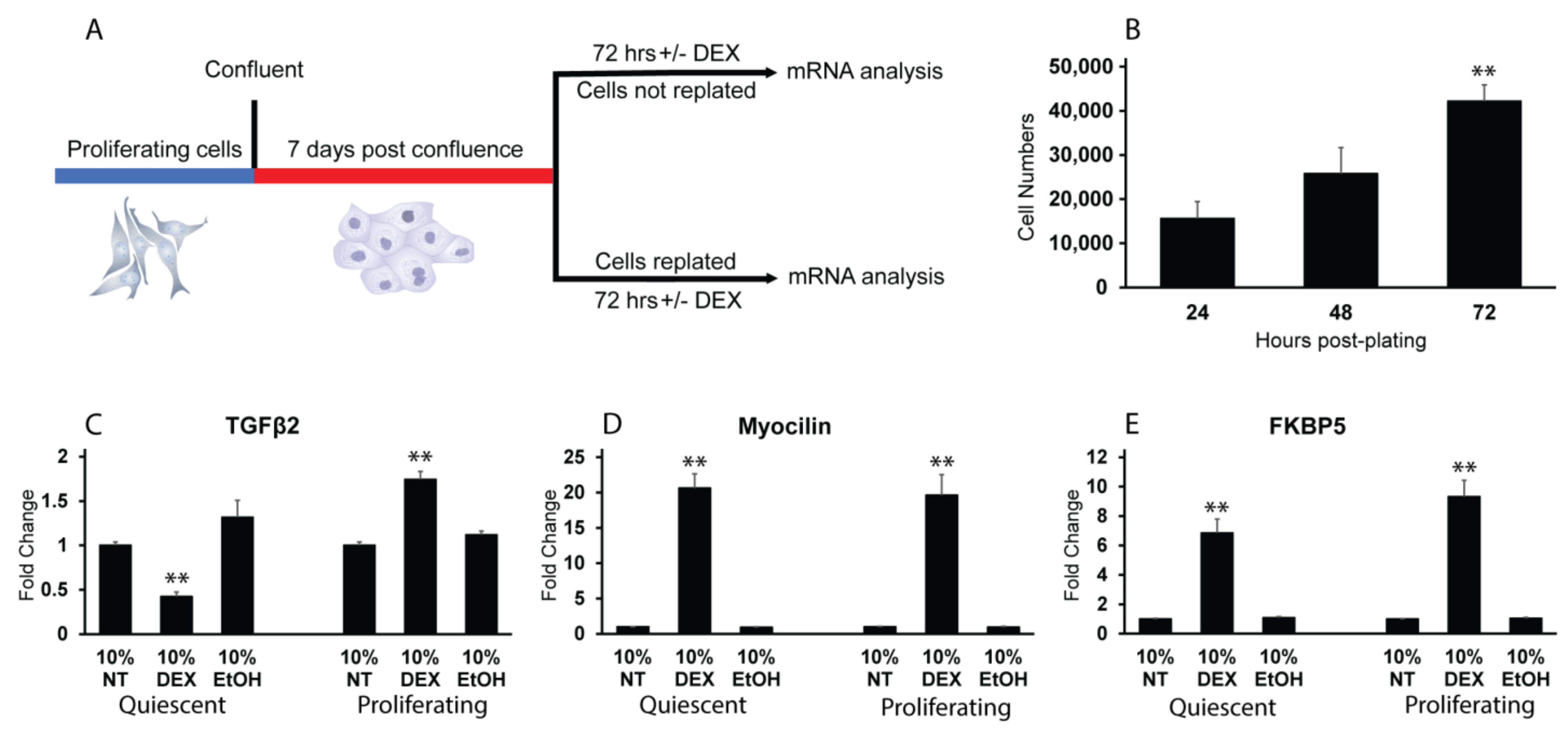 Cells 12 00504 g006 Cells 12 00504 g006