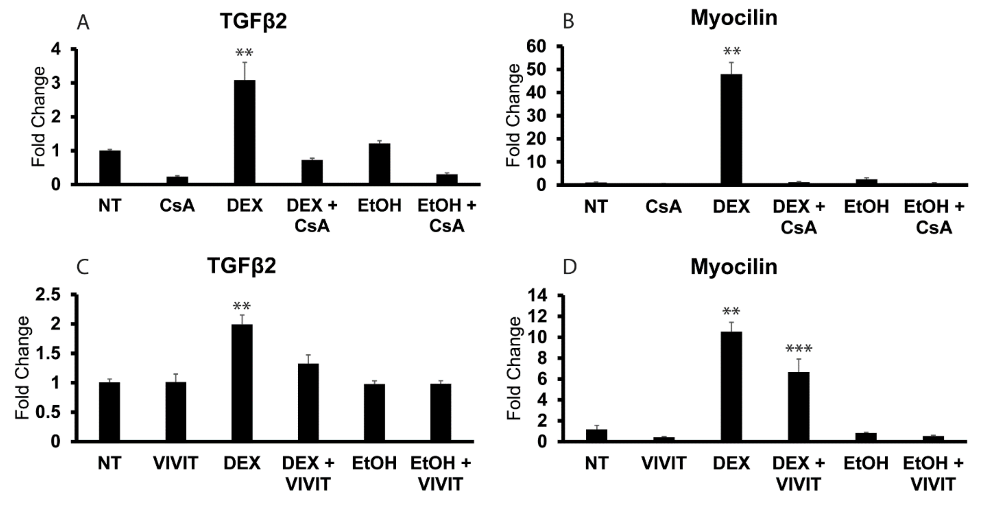Cells 12 00504 g007 Cells 12 00504 g007