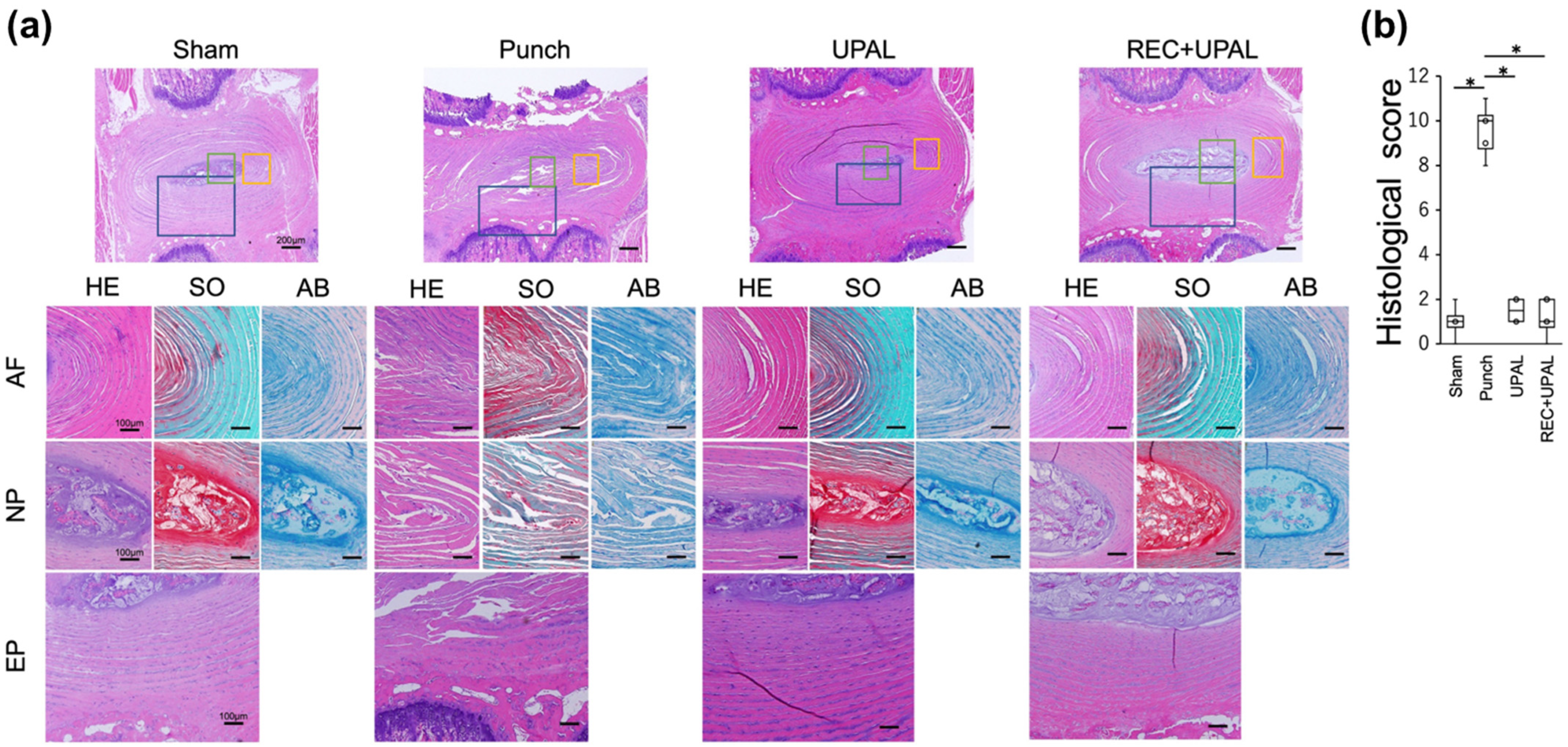 Cells 12 00505 g005 Cells 12 00505 g005