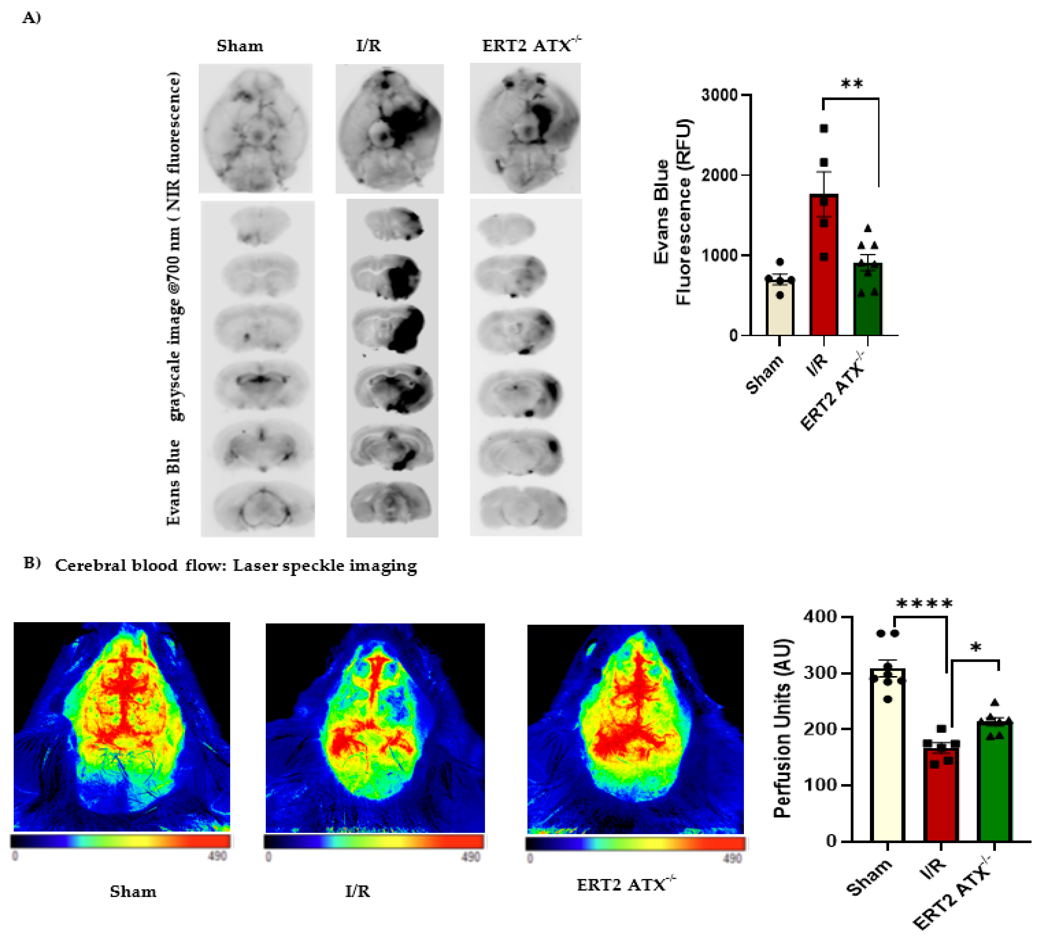 Cells 12 00511 g006 Cells 12 00511 g006