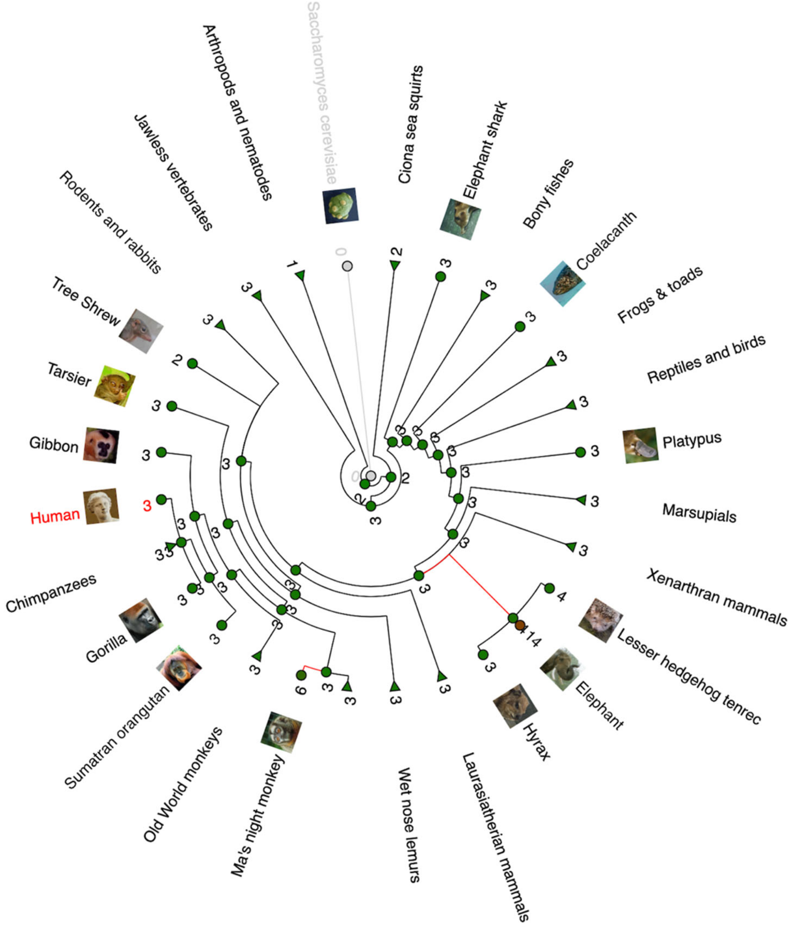 Cells 12 00512 g001 Cells 12 00512 g001