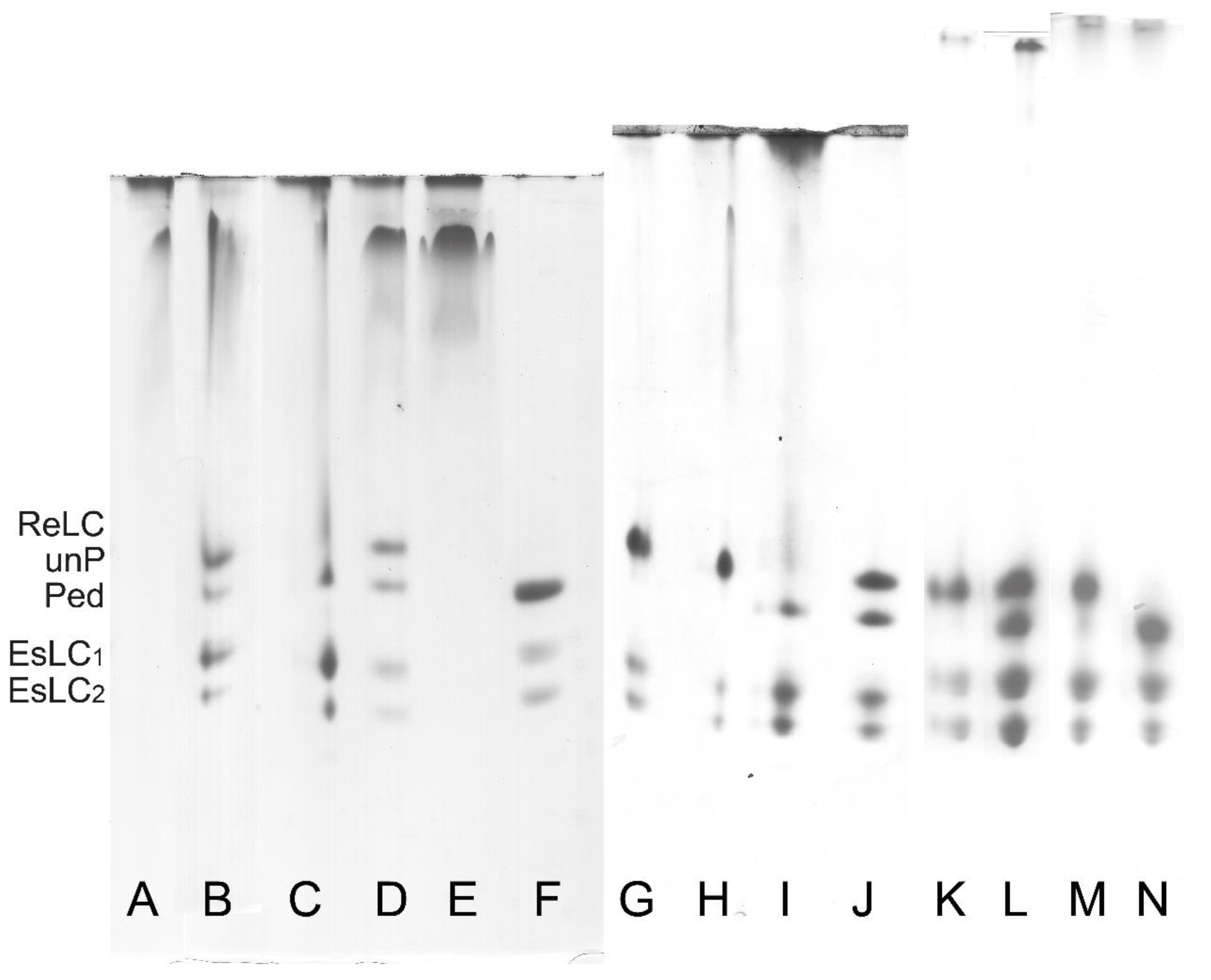 Cells 12 00514 g006 Cells 12 00514 g006