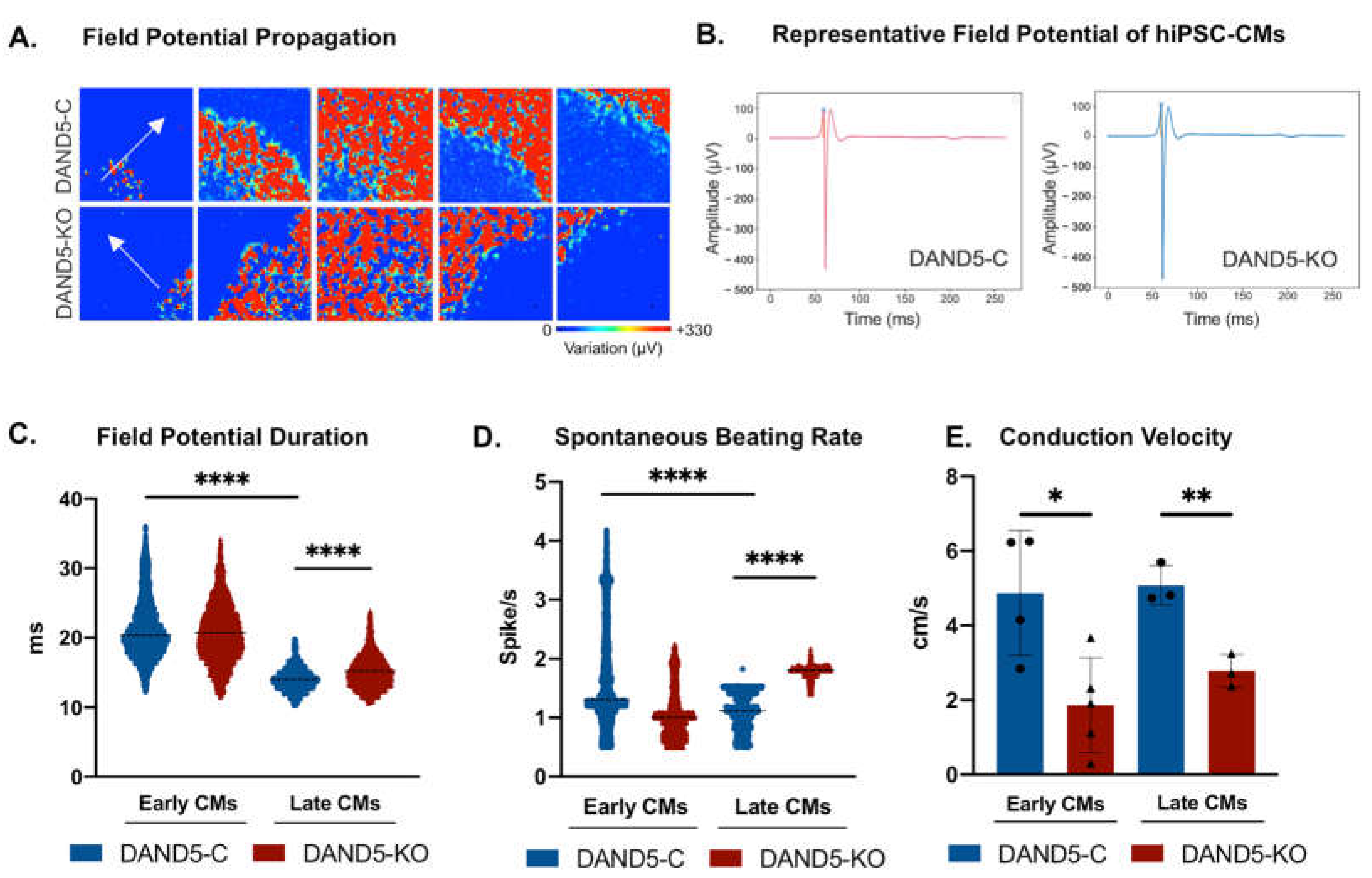 Cells 12 00520 g004 Cells 12 00520 g004