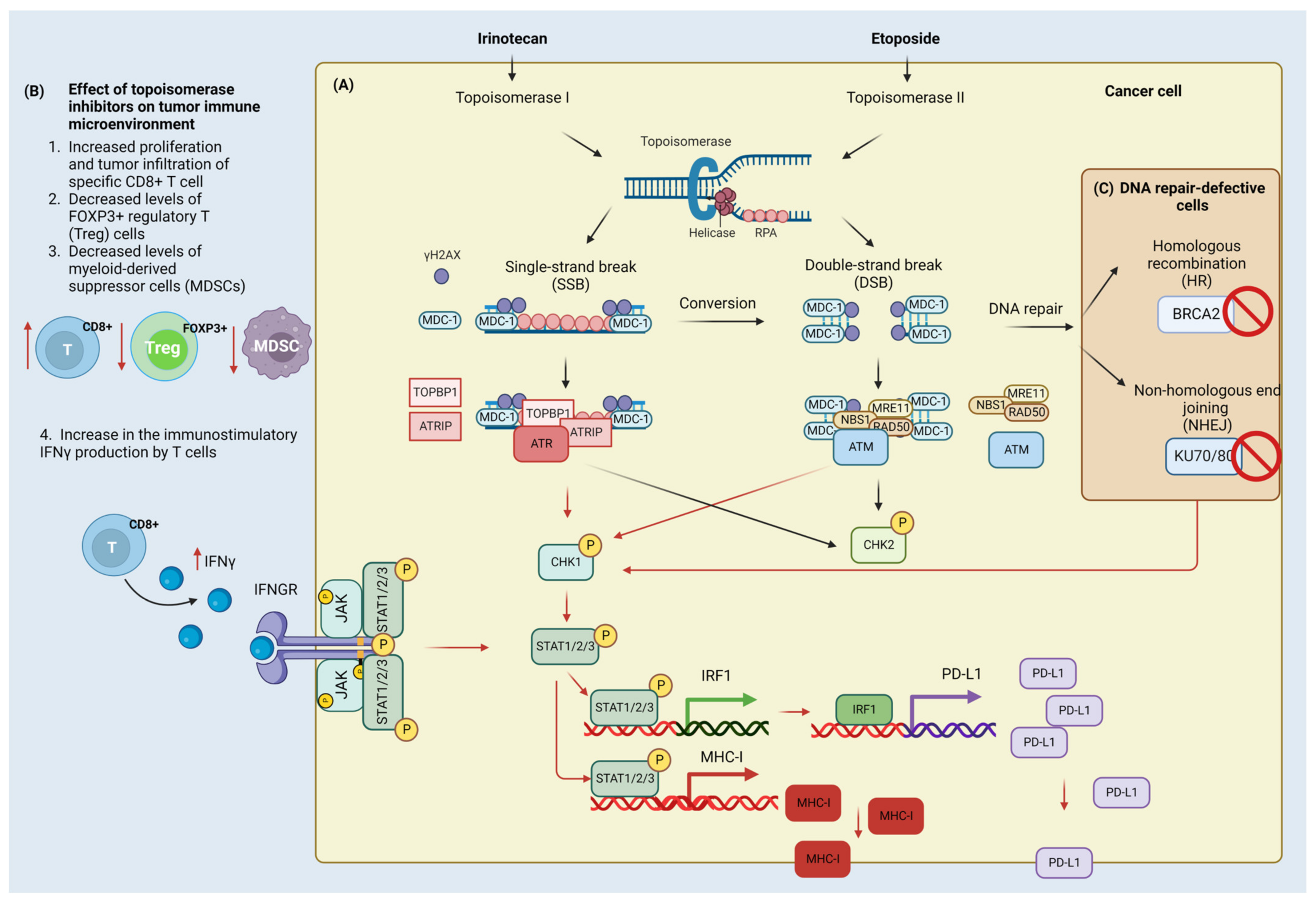 Cells 12 00530 g002 Cells 12 00530 g002