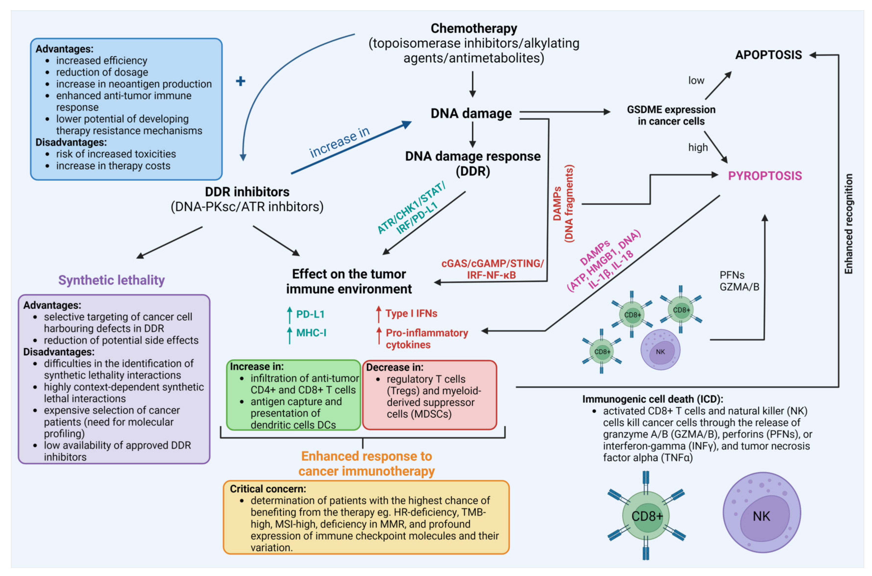Cells 12 00530 g005 Cells 12 00530 g005